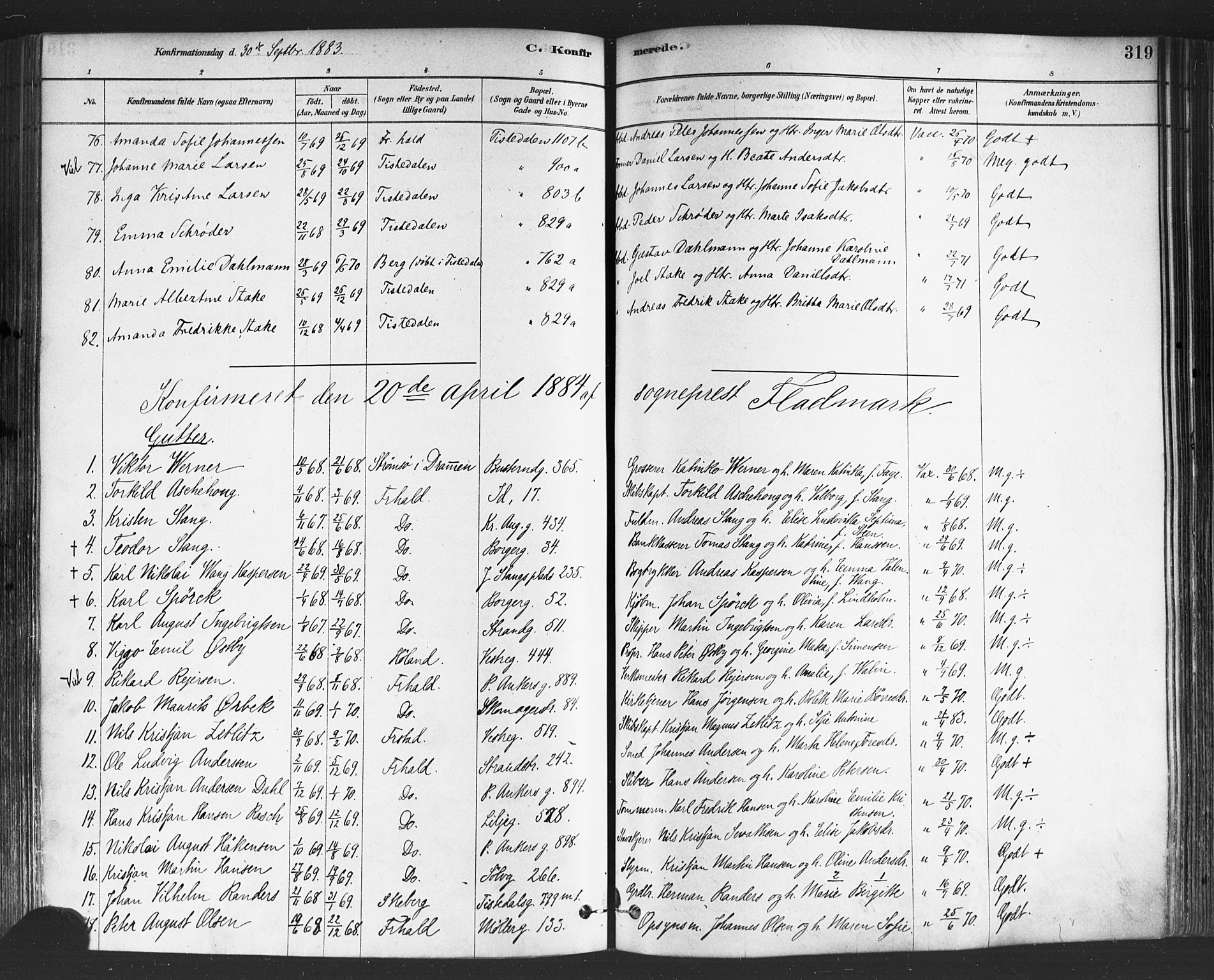 Halden prestekontor Kirkebøker, SAO/A-10909/F/Fa/L0011: Parish register (official) no. I 11, 1878-1889, p. 319