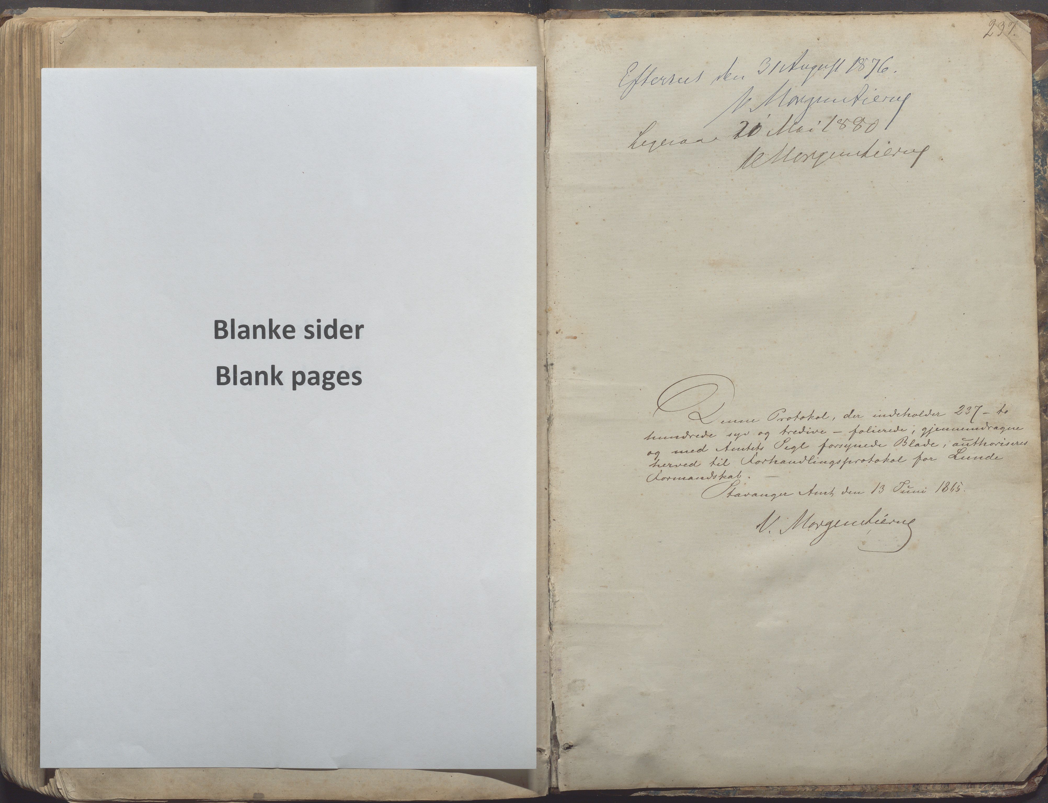 Lund kommune - Formannskapet/Formannskapskontoret, IKAR/K-101761/A/Aa/Aaa/L0004: Forhandlingsprotokoll, 1865-1895, p. 237a