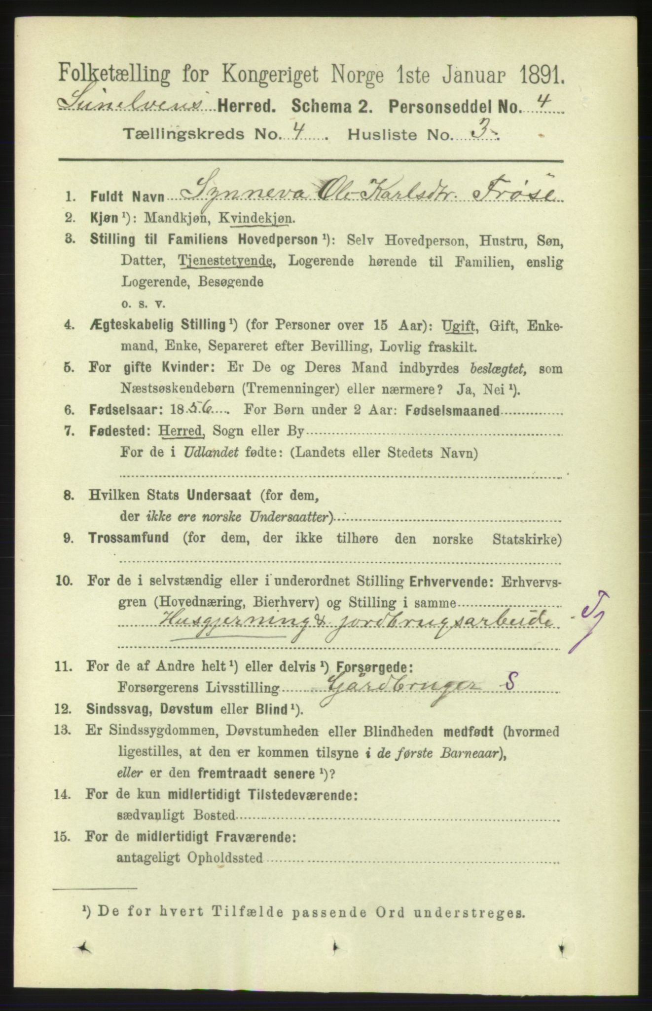 RA, 1891 census for 1523 Sunnylven, 1891, p. 890