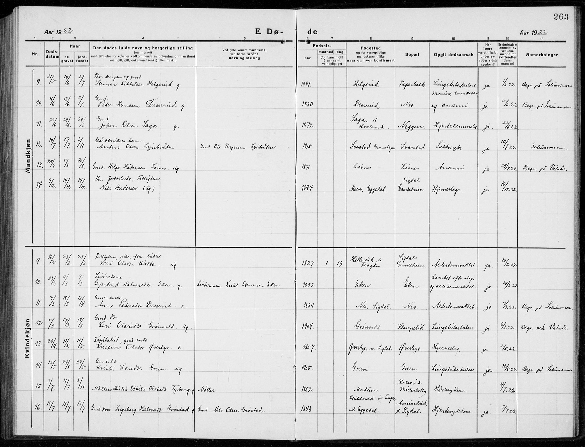 Sigdal kirkebøker, SAKO/A-245/G/Ga/L0007: Parish register (copy) no. I 7, 1917-1935, p. 263