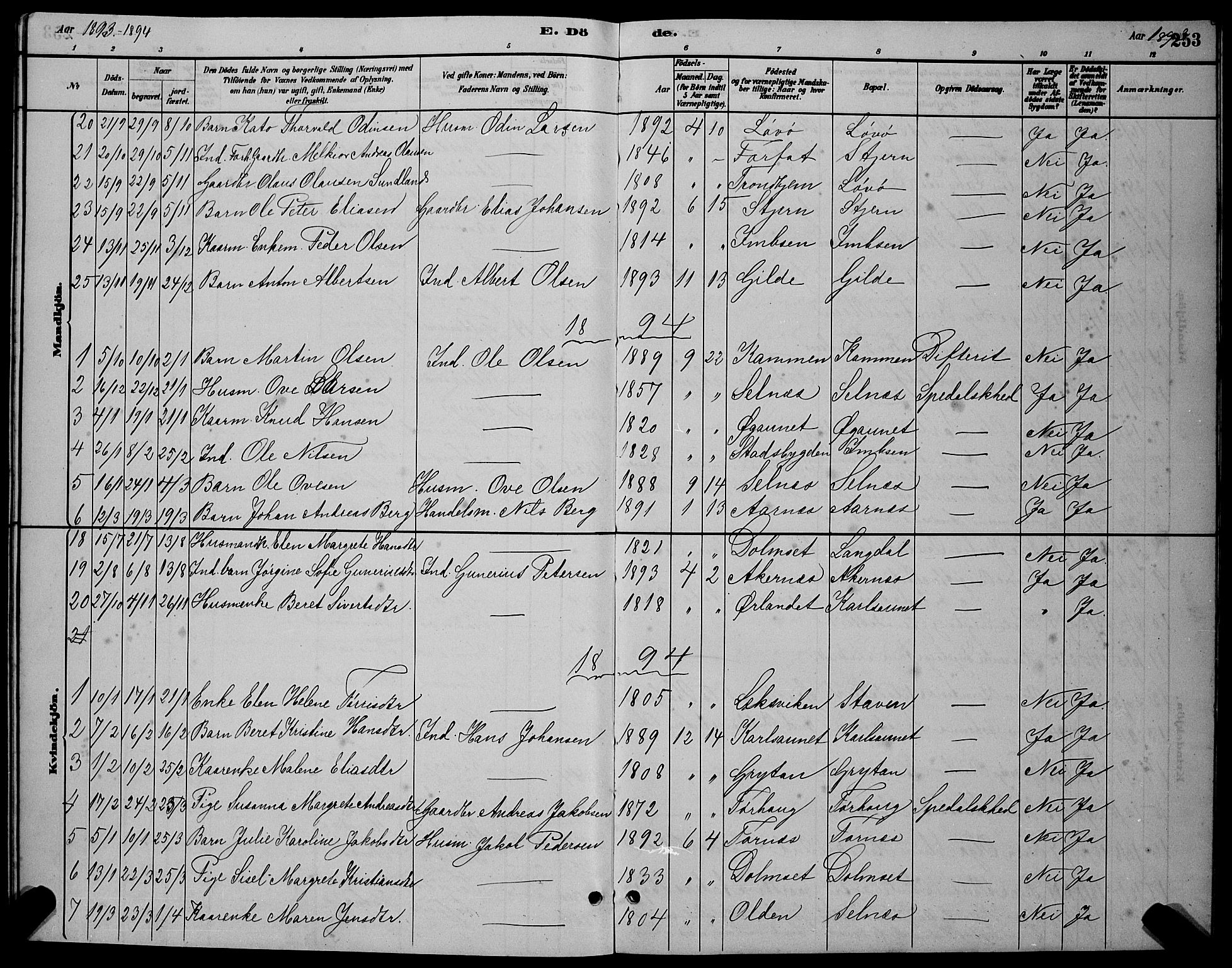 Ministerialprotokoller, klokkerbøker og fødselsregistre - Sør-Trøndelag, SAT/A-1456/655/L0687: Parish register (copy) no. 655C03, 1880-1898, p. 253