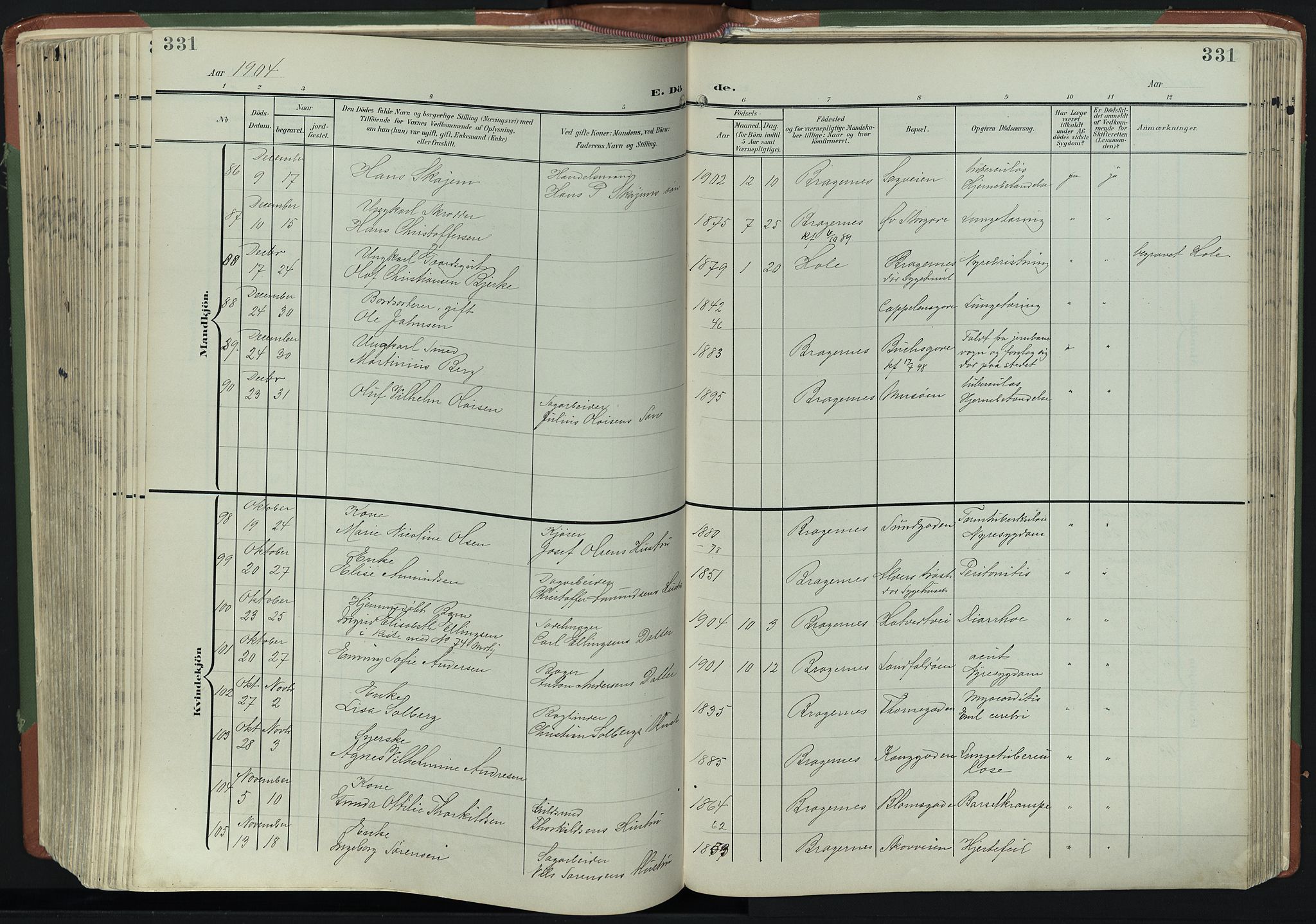 Bragernes kirkebøker, AV/SAKO-A-6/F/Fb/L0009: Parish register (official) no. II 9, 1902-1911, p. 331