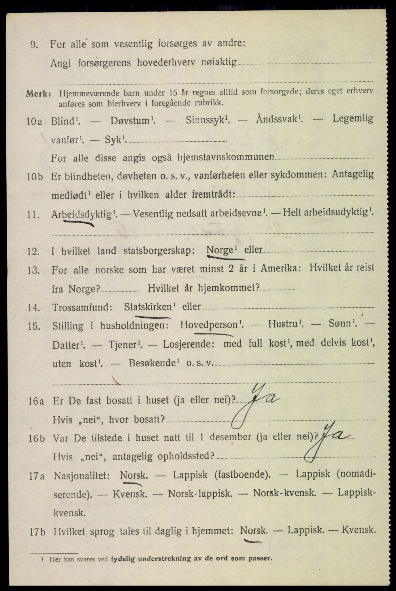 SAT, 1920 census for Bø, 1920, p. 2297