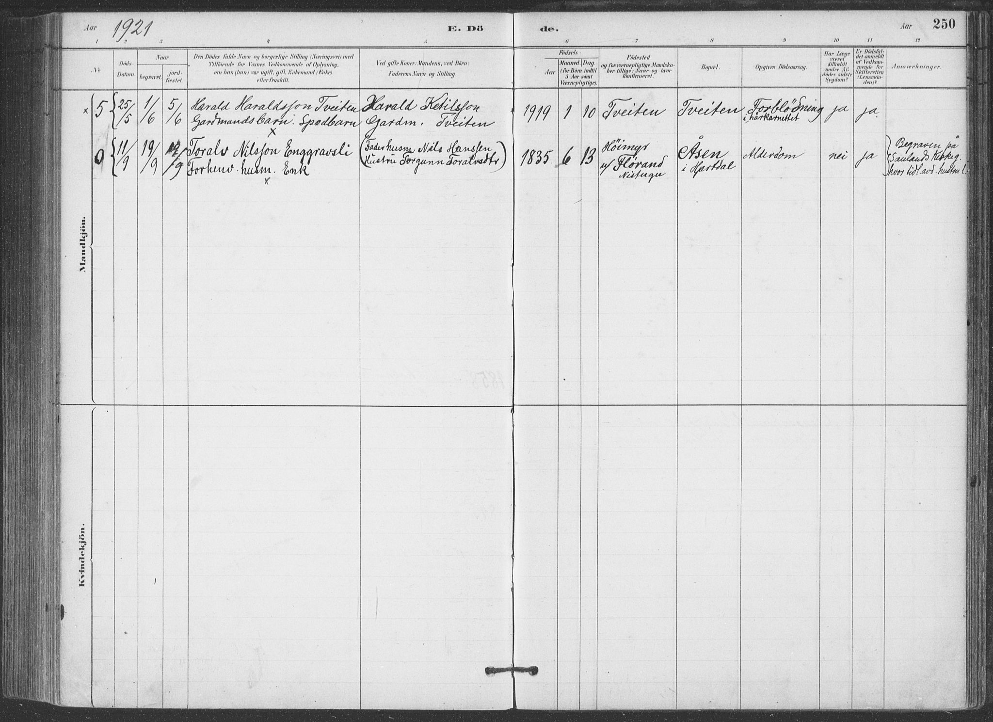 Hjartdal kirkebøker, SAKO/A-270/F/Fa/L0010: Parish register (official) no. I 10, 1880-1929, p. 250
