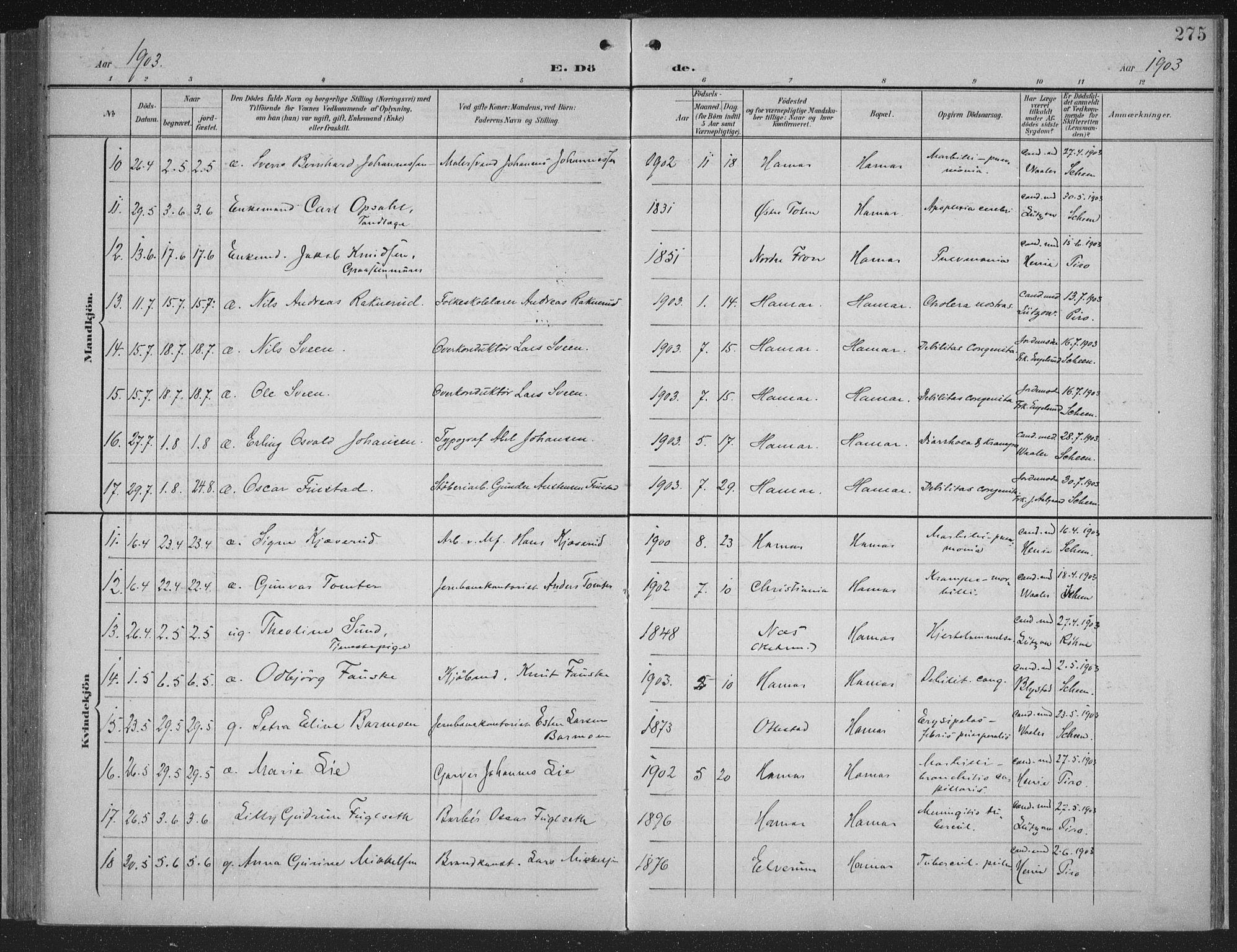 Hamar prestekontor, AV/SAH-DOMPH-002/H/Ha/Haa/L0001: Parish register (official) no. 1, 1900-1914, p. 275