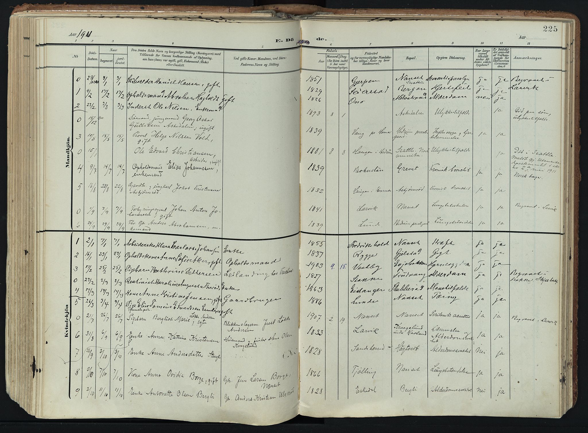 Hedrum kirkebøker, AV/SAKO-A-344/F/Fa/L0010: Parish register (official) no. I 10, 1904-1918, p. 225