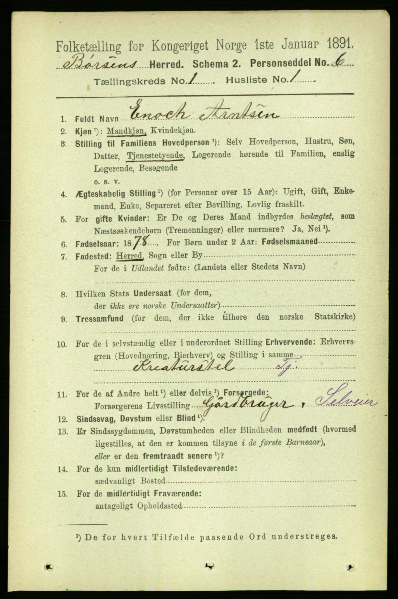 RA, 1891 census for 1658 Børsa, 1891, p. 95