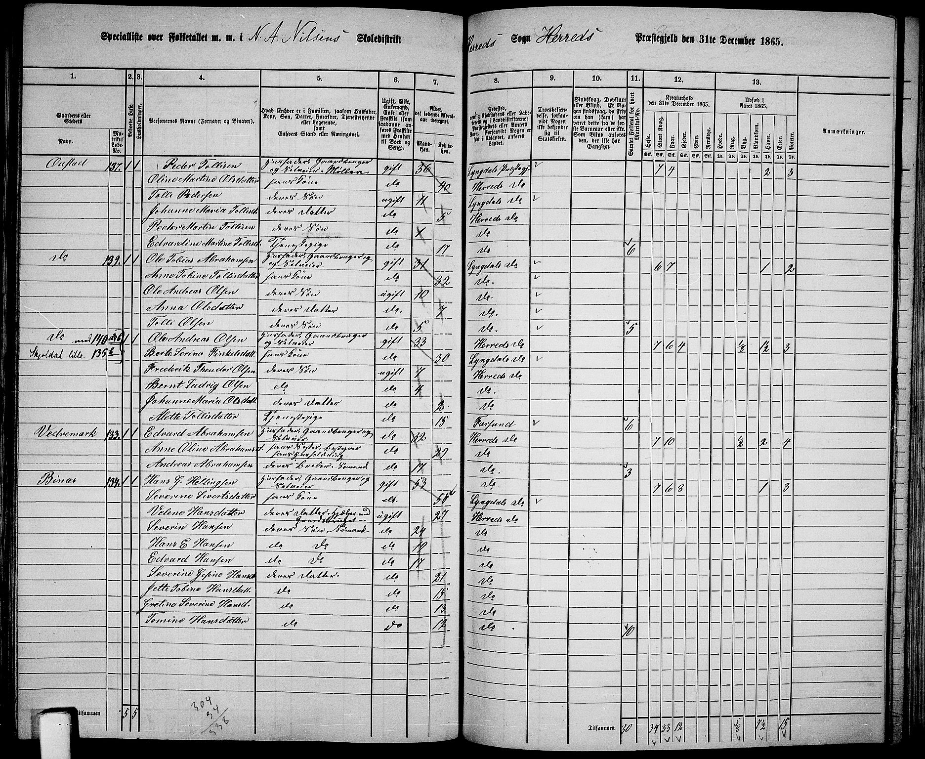 RA, 1865 census for Herad, 1865, p. 44