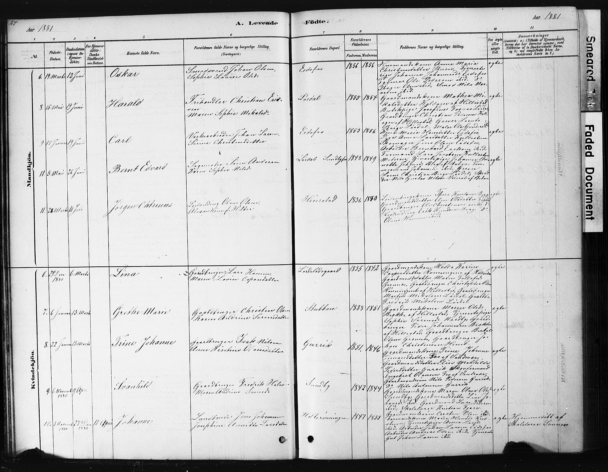 Hof kirkebøker, AV/SAKO-A-64/G/Ga/L0004: Parish register (copy) no. I 4, 1878-1930, p. 24