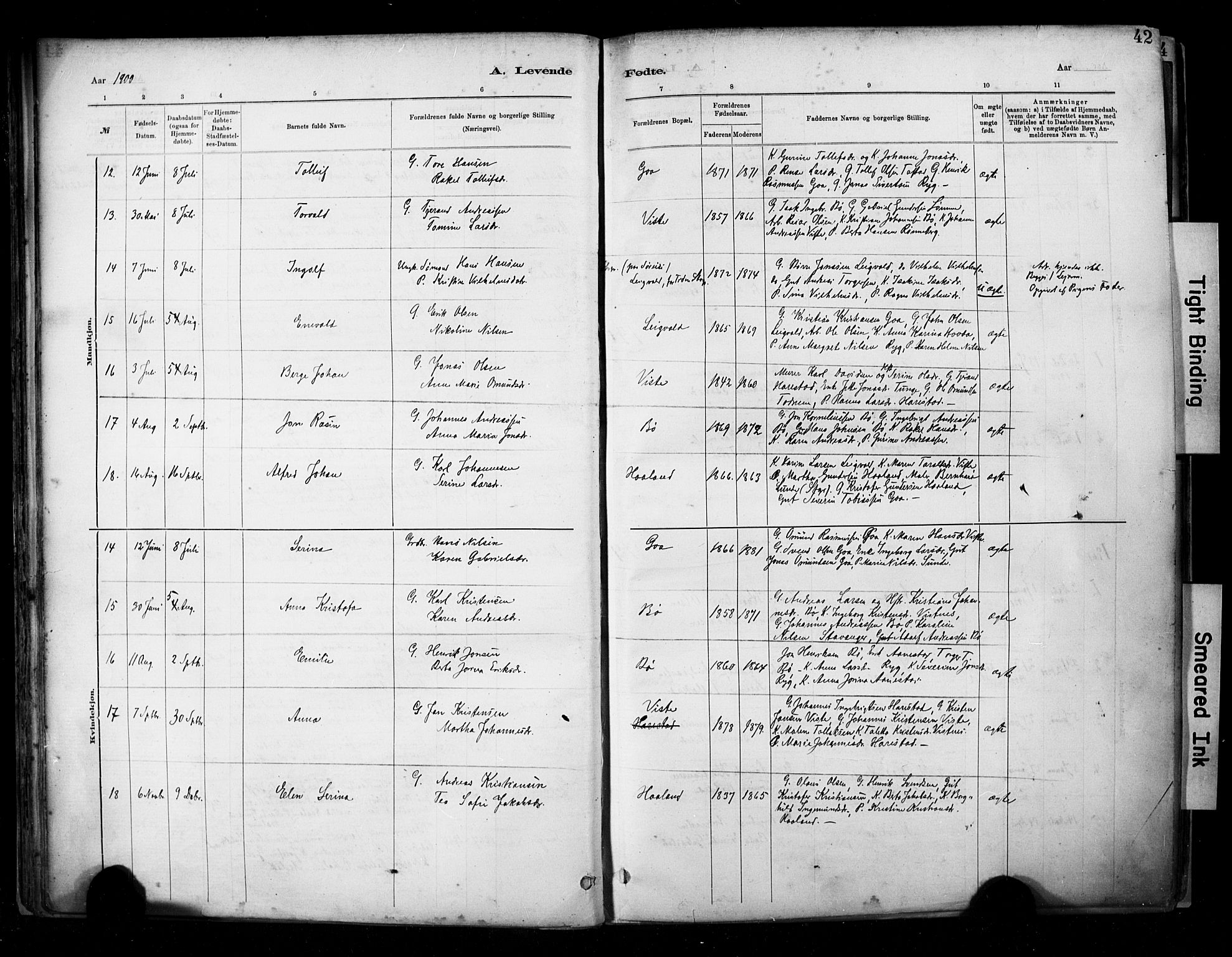 Hetland sokneprestkontor, SAST/A-101826/30/30BA/L0009: Parish register (official) no. A 9, 1882-1918, p. 42