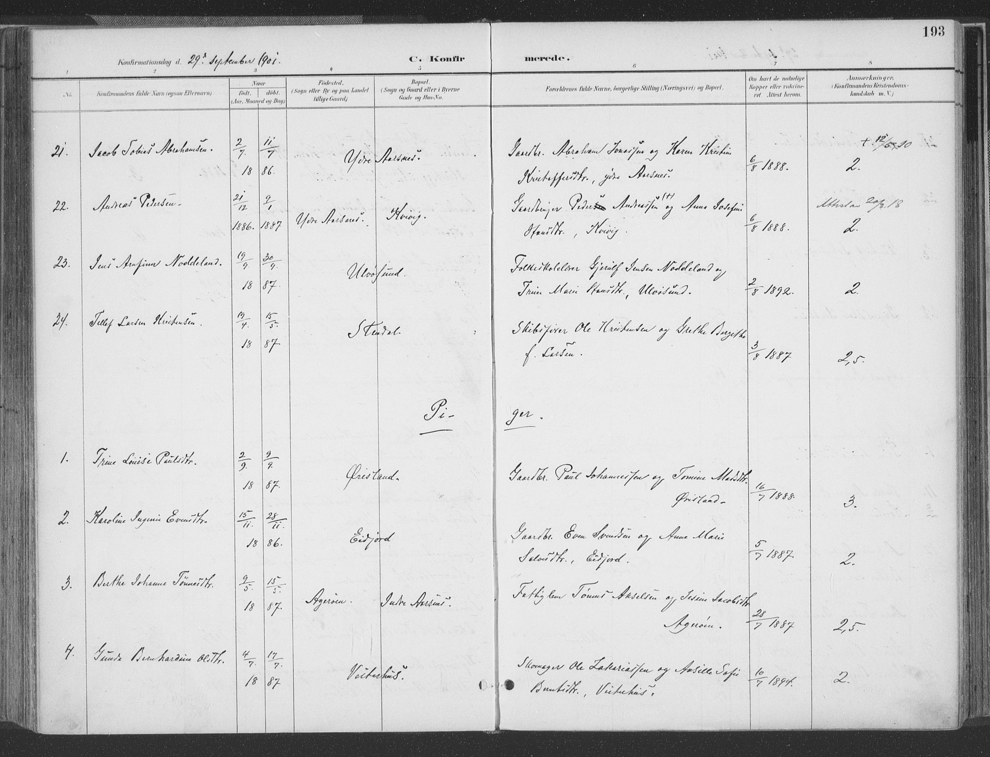 Høvåg sokneprestkontor, AV/SAK-1111-0025/F/Fa/L0006: Parish register (official) no. A 6, 1894-1923, p. 193