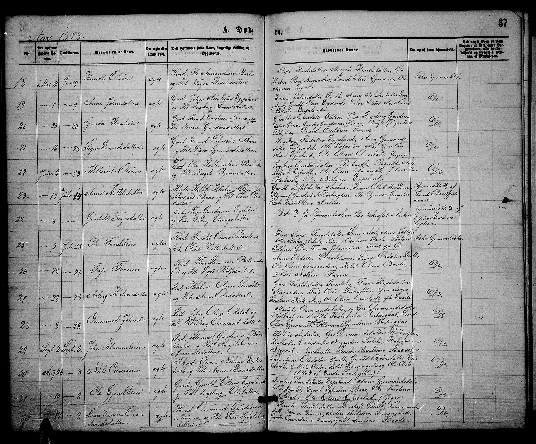 Åmli sokneprestkontor, SAK/1111-0050/F/Fb/Fbc/L0003: Parish register (copy) no. B 3, 1868-1888, p. 37