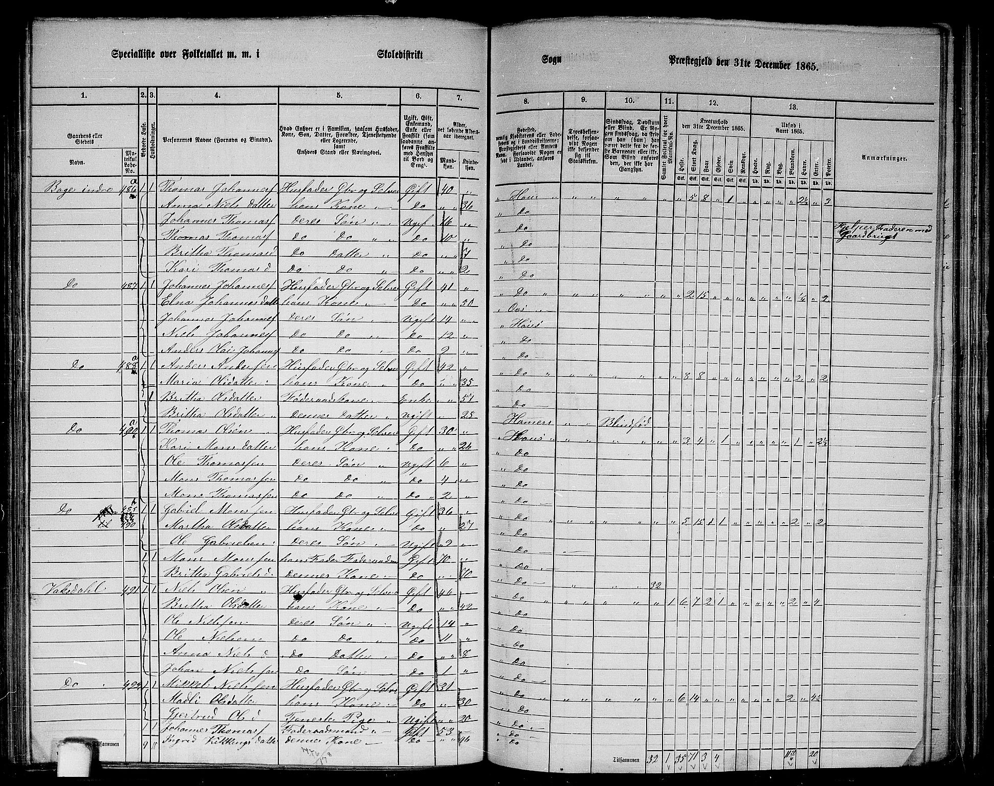 RA, 1865 census for Haus, 1865, p. 195