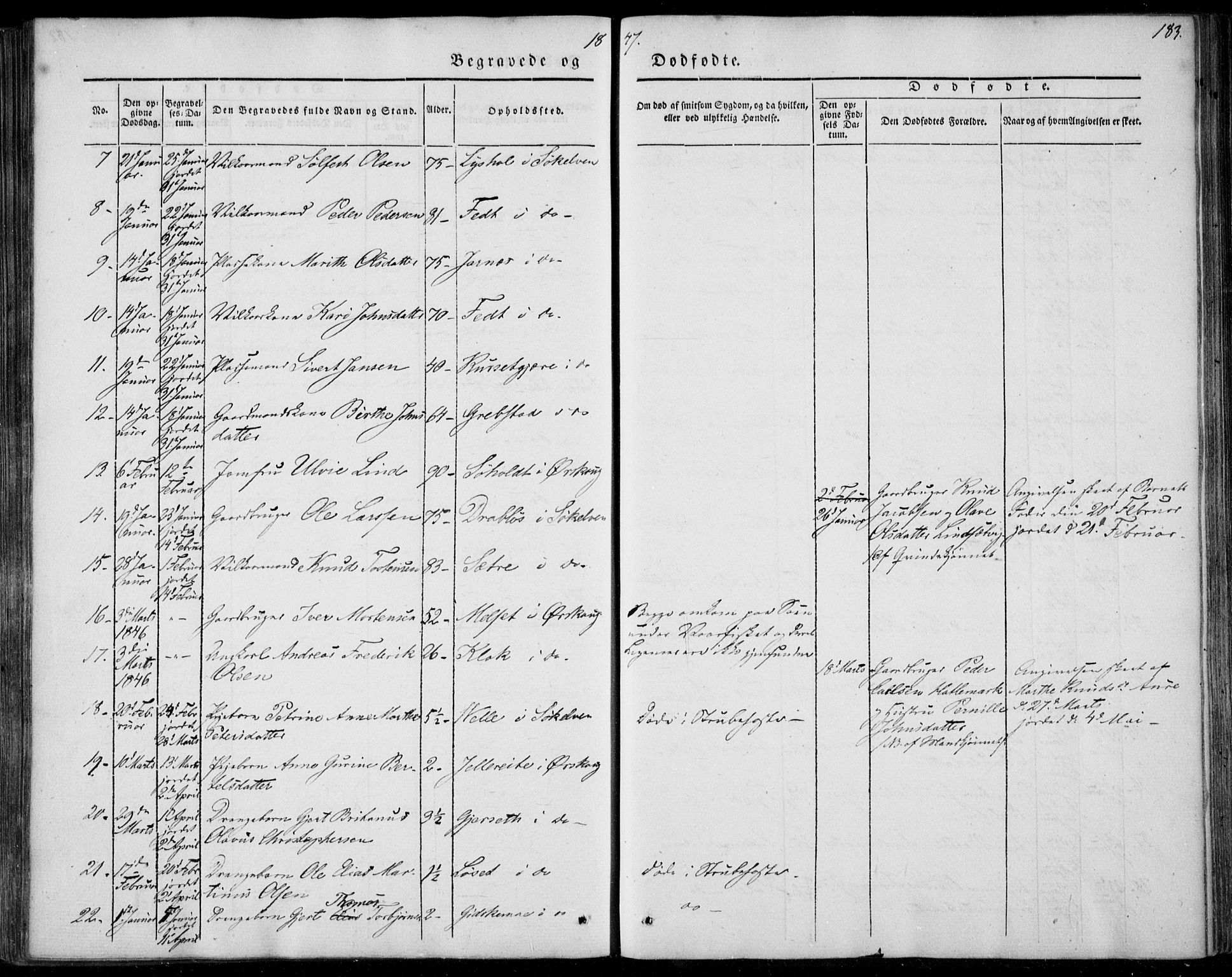 Ministerialprotokoller, klokkerbøker og fødselsregistre - Møre og Romsdal, AV/SAT-A-1454/522/L0312: Parish register (official) no. 522A07, 1843-1851, p. 183