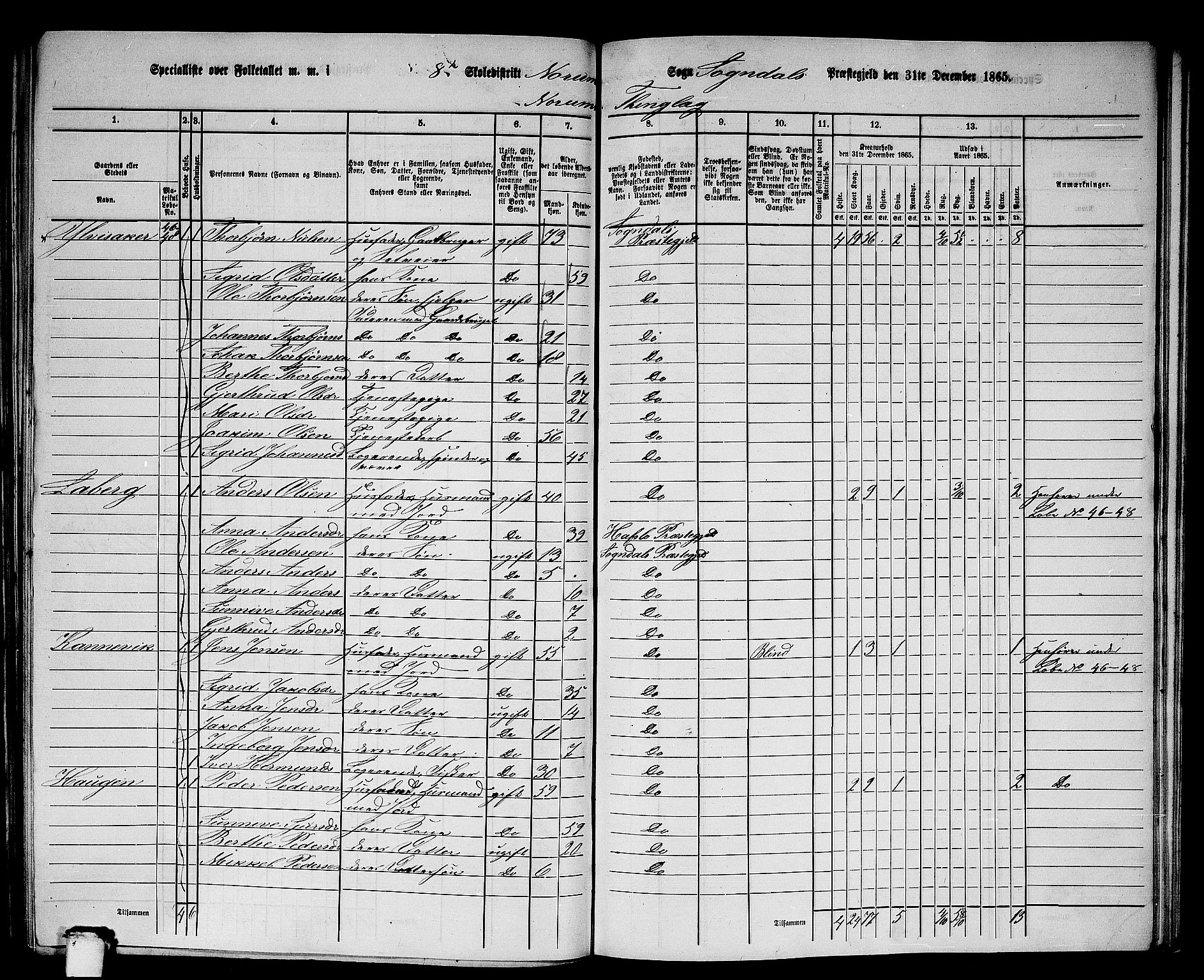 RA, 1865 census for Sogndal, 1865, p. 145