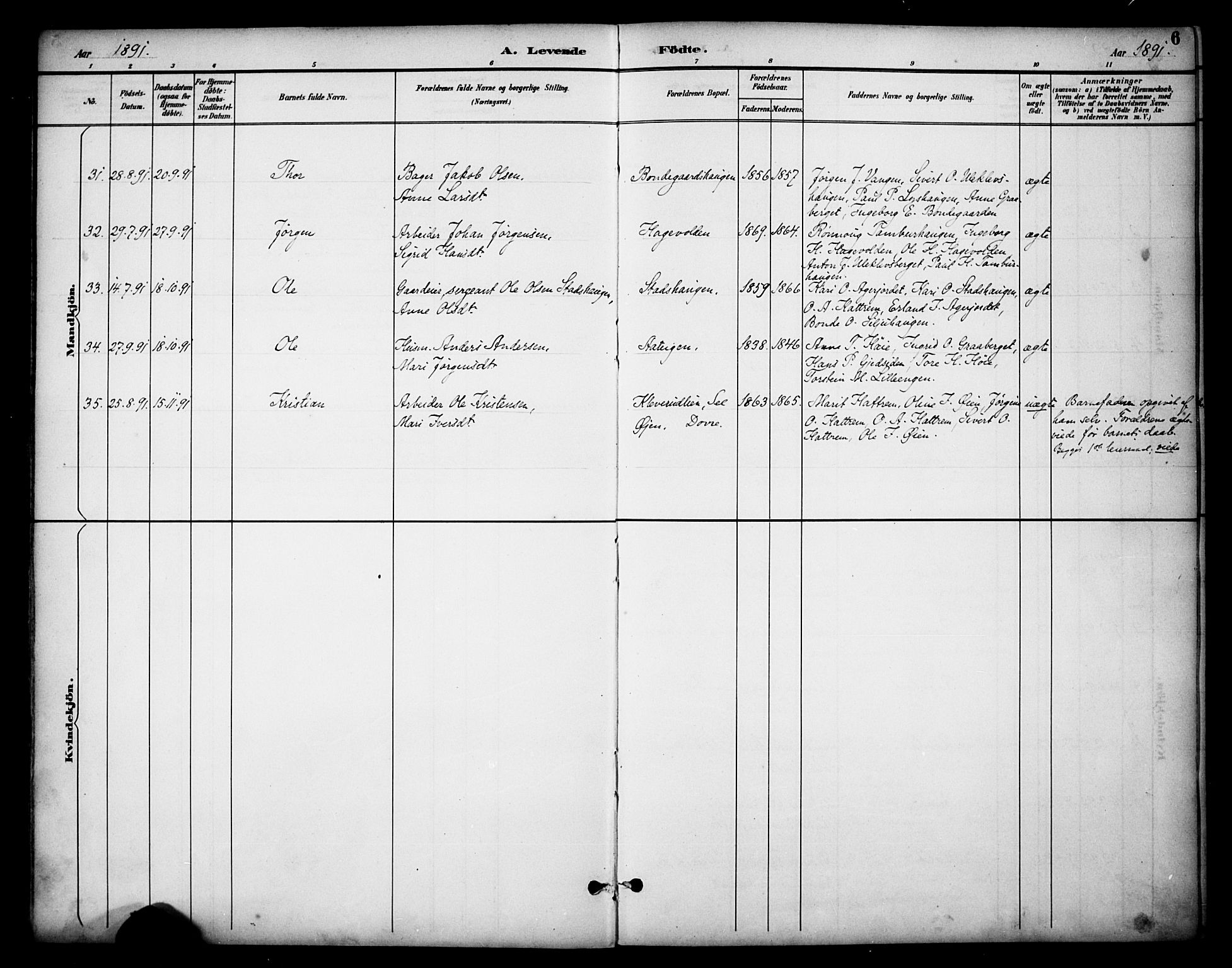 Dovre prestekontor, SAH/PREST-066/H/Ha/Haa/L0003: Parish register (official) no. 3, 1891-1901, p. 6