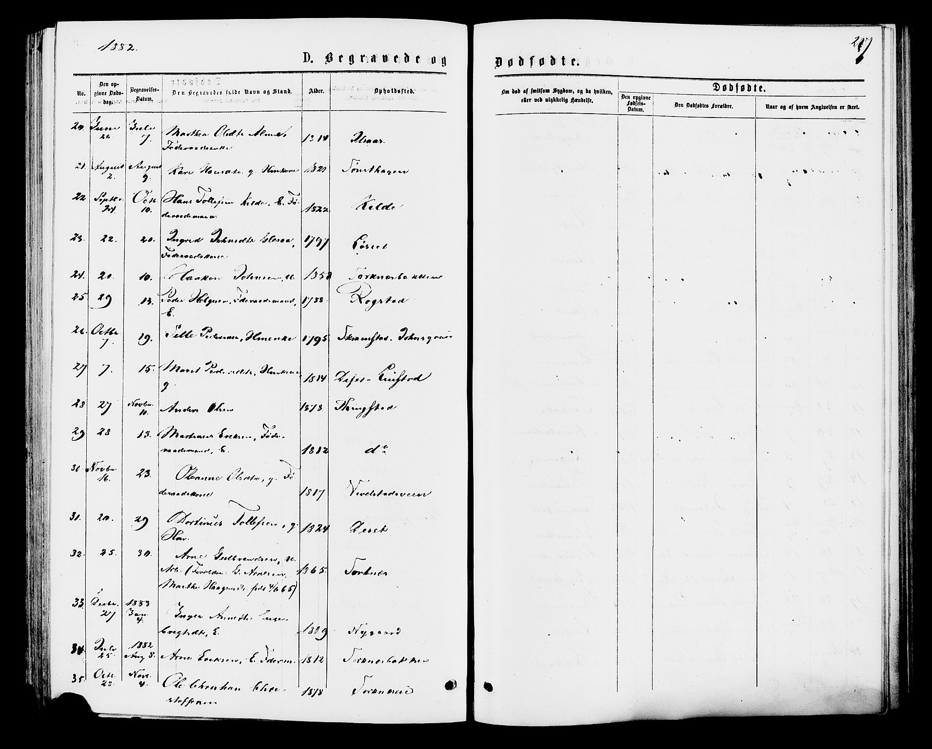 Åmot prestekontor, Hedmark, AV/SAH-PREST-056/H/Ha/Haa/L0009: Parish register (official) no. 9, 1875-1883, p. 217