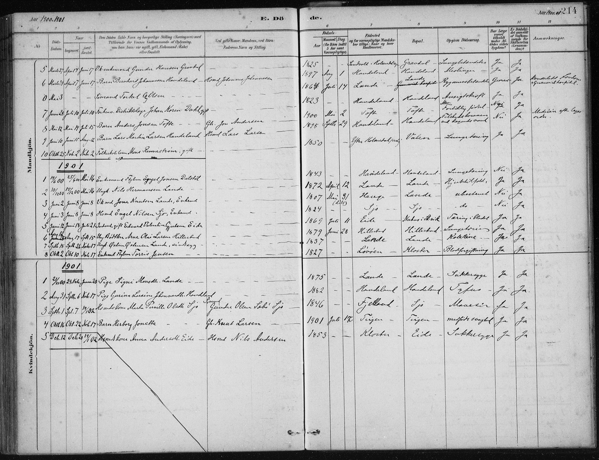 Fjelberg sokneprestembete, SAB/A-75201/H/Haa: Parish register (official) no. C  1, 1879-1918, p. 214