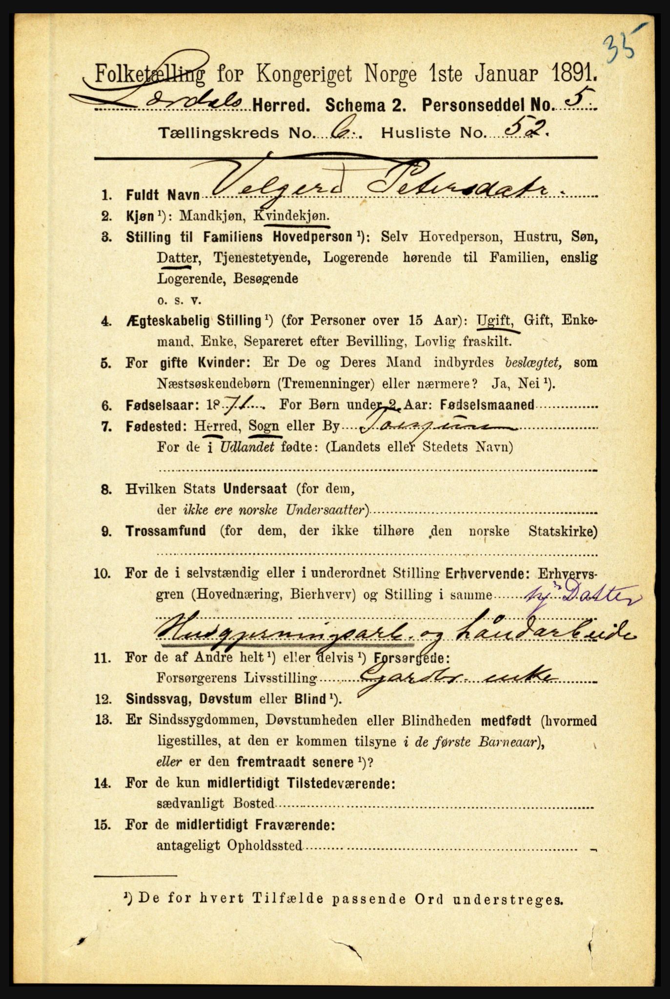 RA, 1891 census for 1422 Lærdal, 1891, p. 733