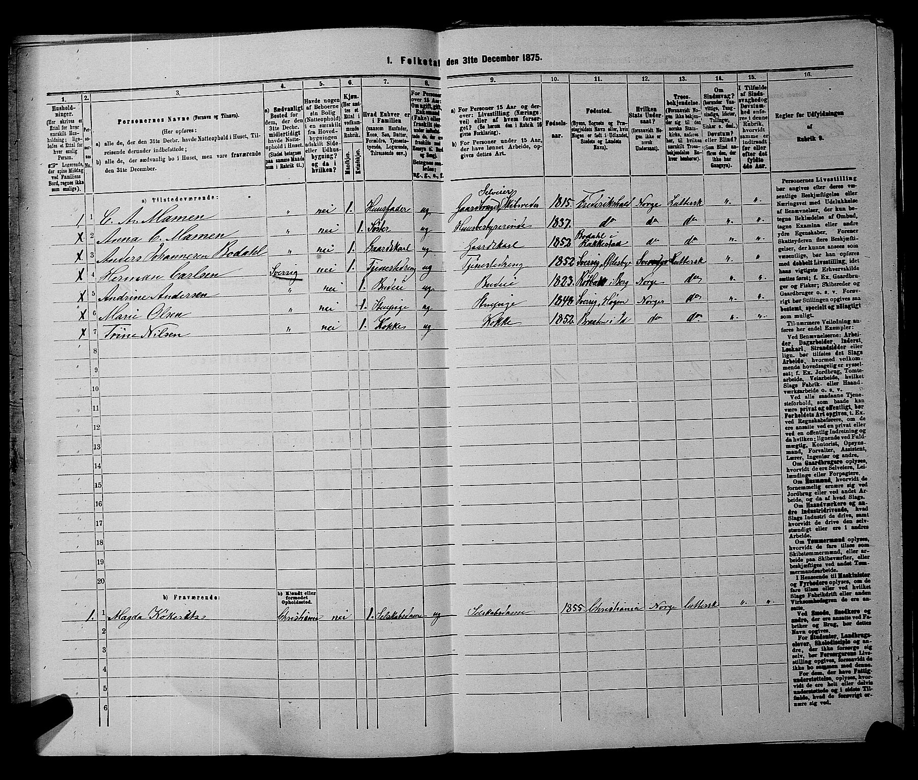 RA, 1875 census for 0117P Idd, 1875, p. 1113