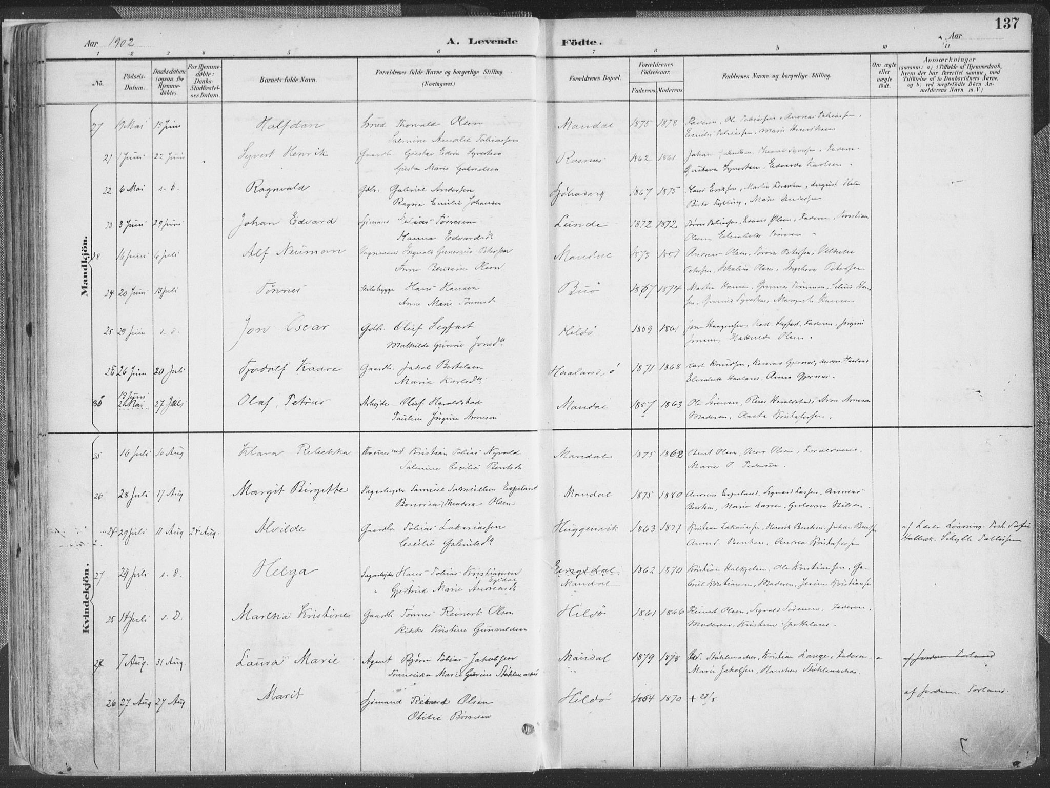 Mandal sokneprestkontor, AV/SAK-1111-0030/F/Fa/Faa/L0018: Parish register (official) no. A 18, 1890-1905, p. 137