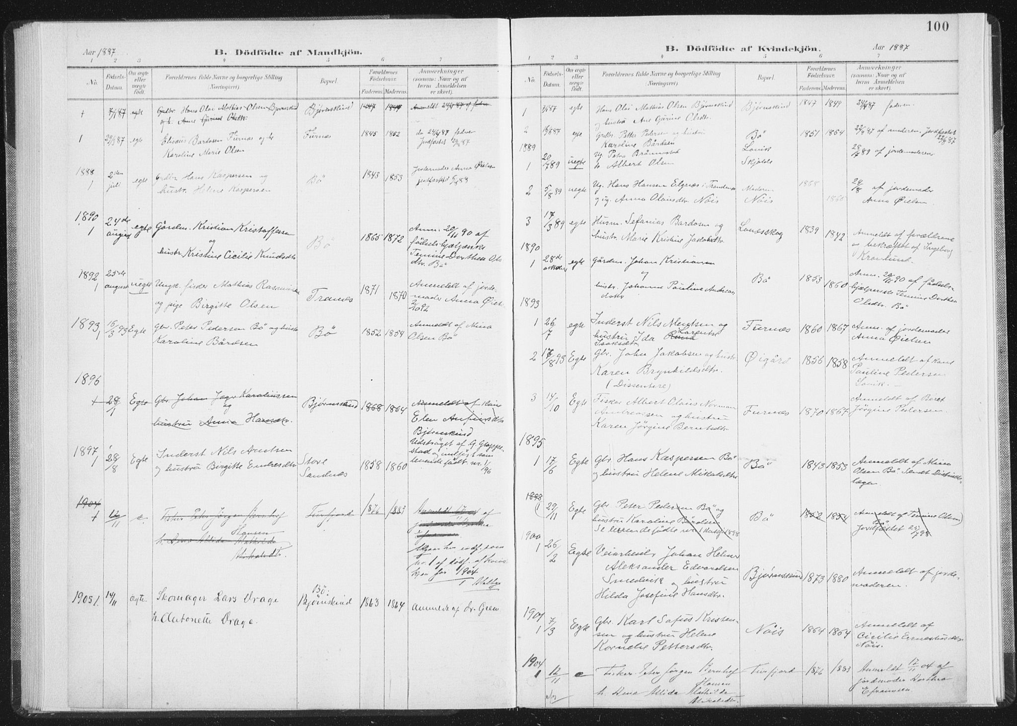 Ministerialprotokoller, klokkerbøker og fødselsregistre - Nordland, AV/SAT-A-1459/898/L1422: Parish register (official) no. 898A02, 1887-1908, p. 100