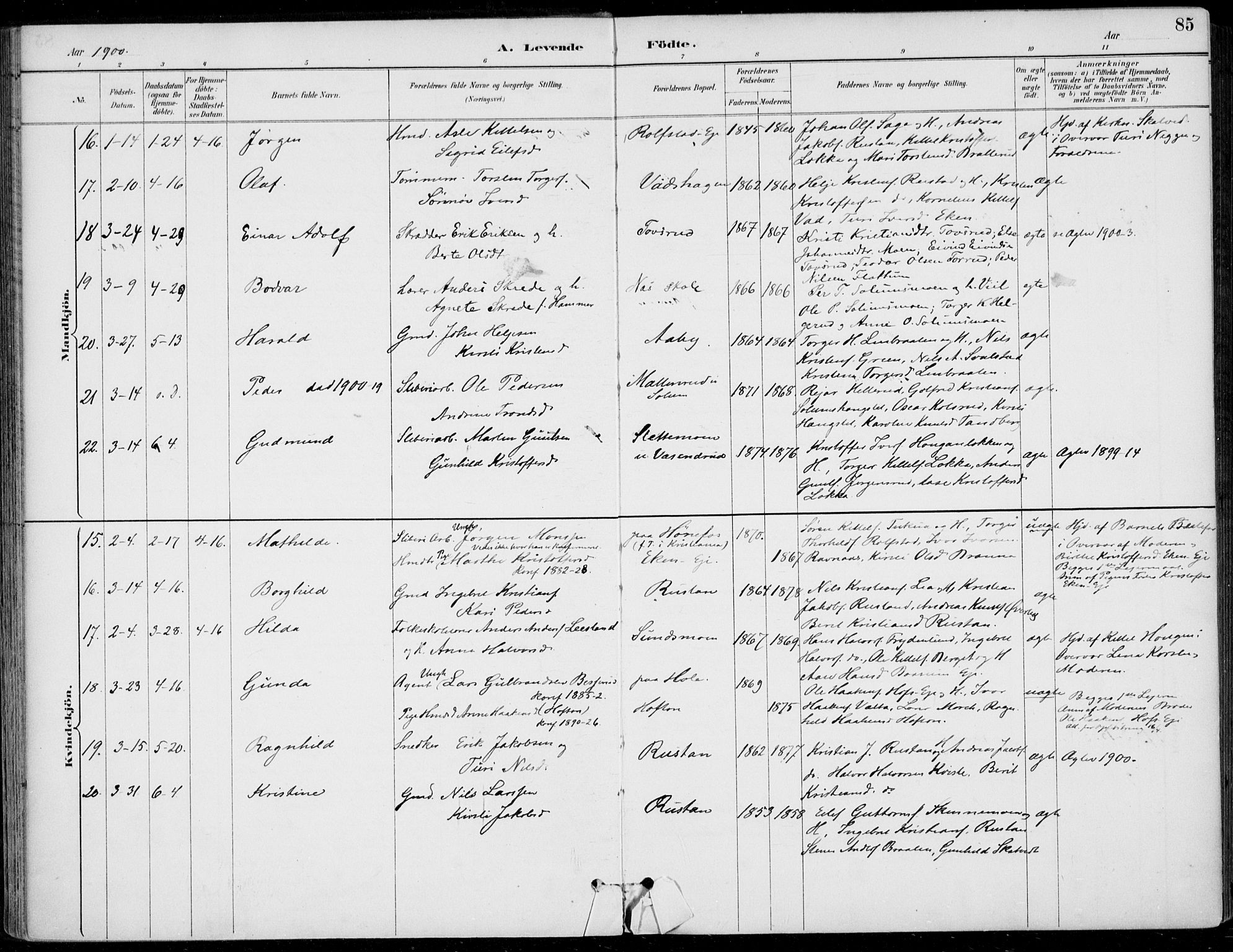 Sigdal kirkebøker, AV/SAKO-A-245/F/Fb/L0001: Parish register (official) no. II 1, 1888-1900, p. 85