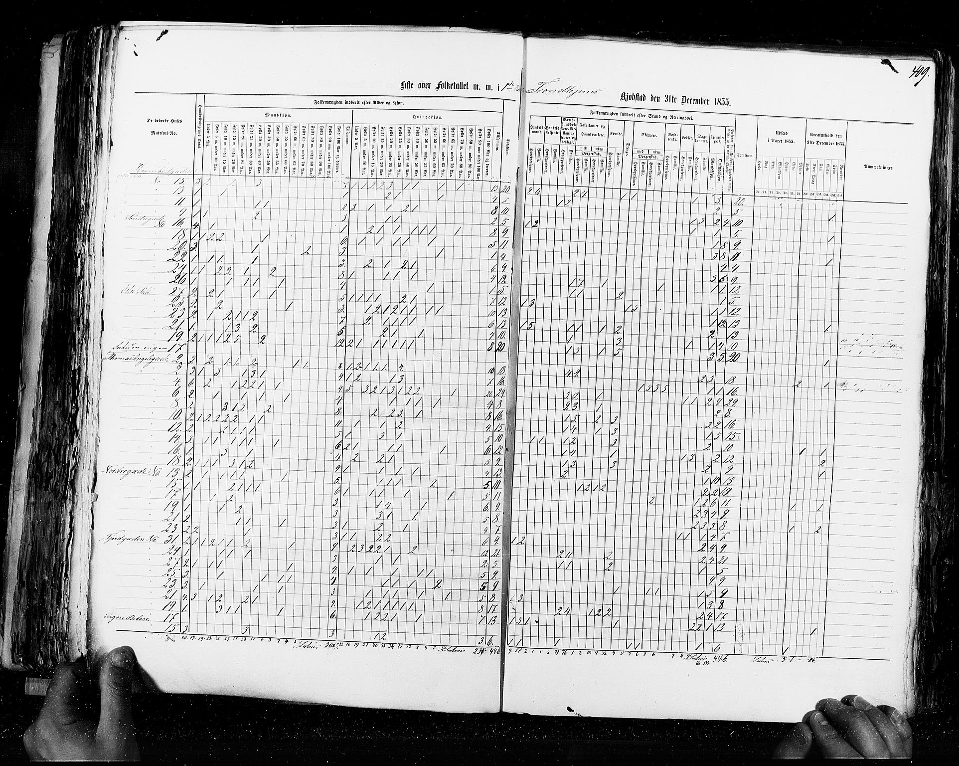 RA, Census 1855, vol. 8: Risør-Vadsø, 1855, p. 409