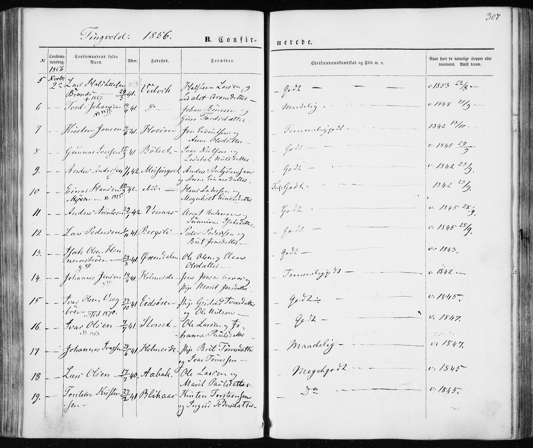 Ministerialprotokoller, klokkerbøker og fødselsregistre - Møre og Romsdal, AV/SAT-A-1454/586/L0984: Parish register (official) no. 586A10, 1844-1856, p. 307