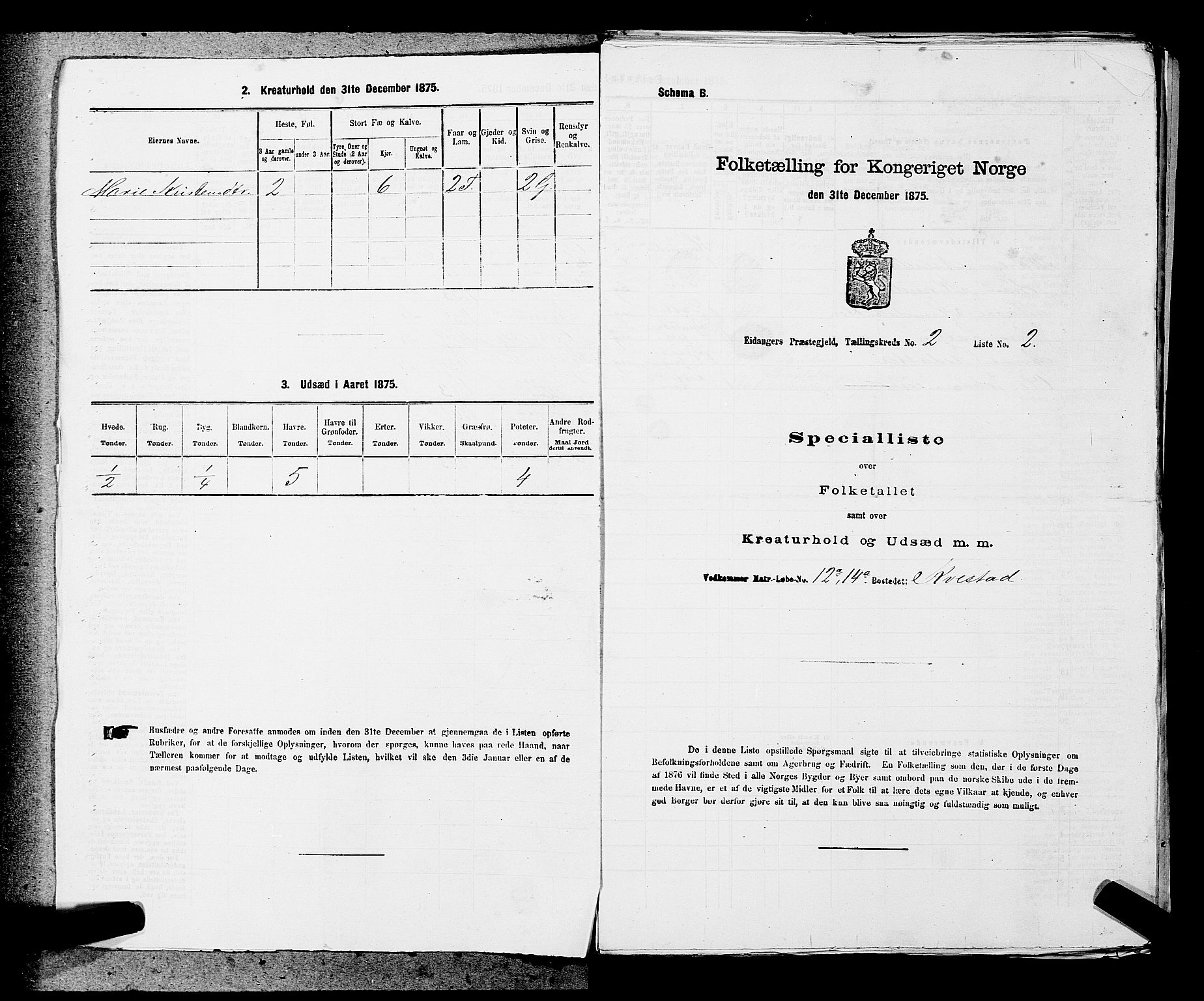 SAKO, 1875 census for 0813P Eidanger, 1875, p. 266