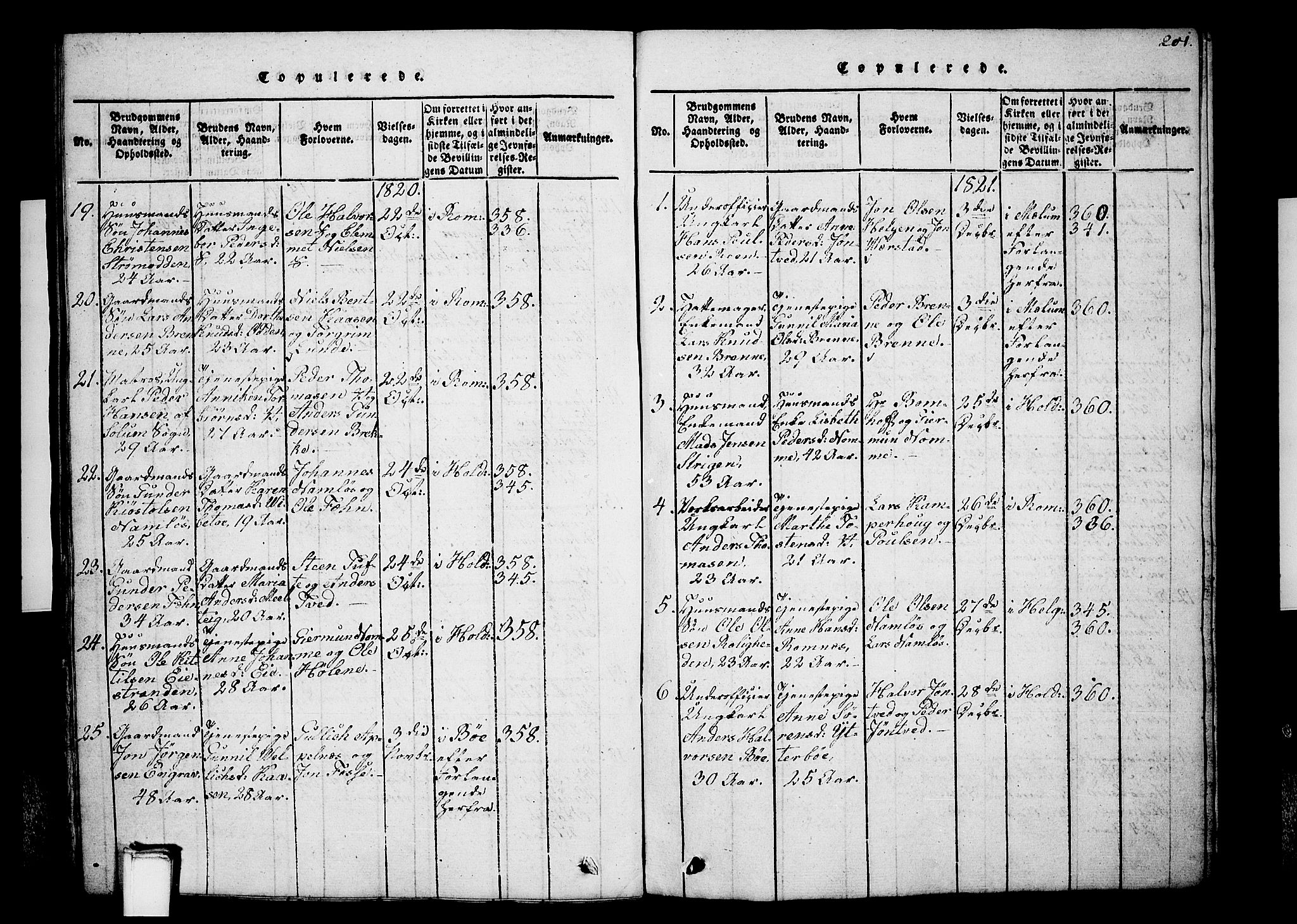 Holla kirkebøker, SAKO/A-272/G/Ga/L0001: Parish register (copy) no. I 1, 1814-1830, p. 201