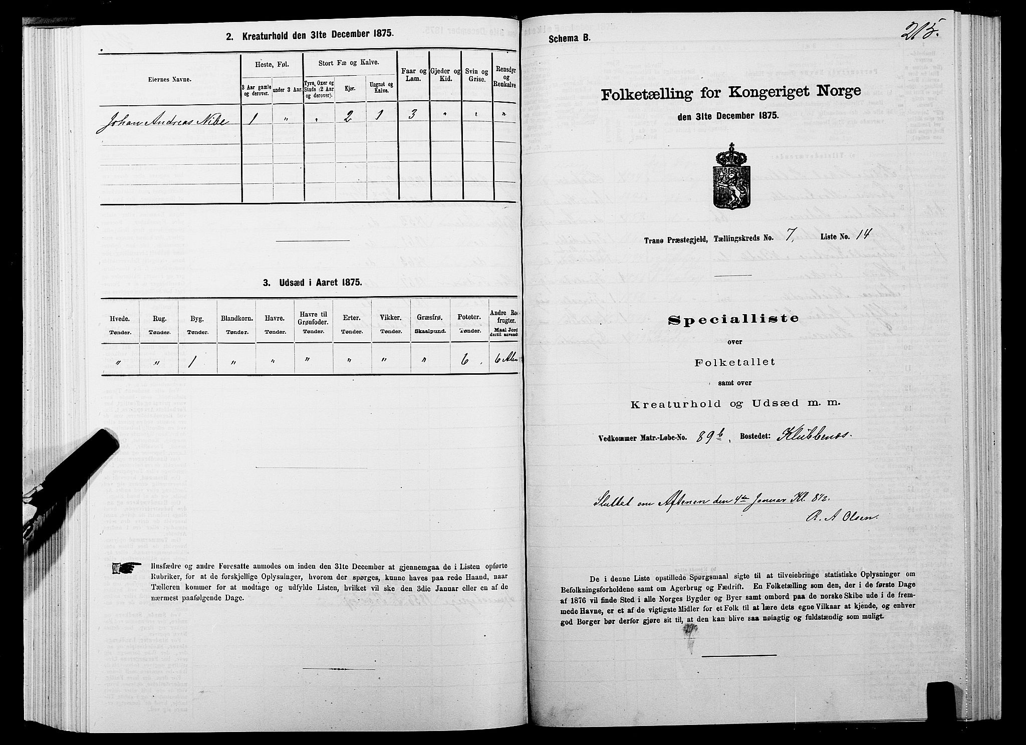 SATØ, 1875 census for 1927P Tranøy, 1875, p. 3215