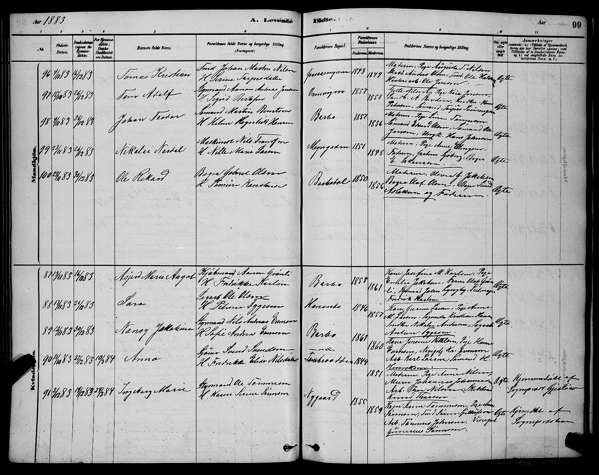 Barbu sokneprestkontor, AV/SAK-1111-0003/F/Fb/L0001: Parish register (copy) no. B 1, 1878-1890, p. 99