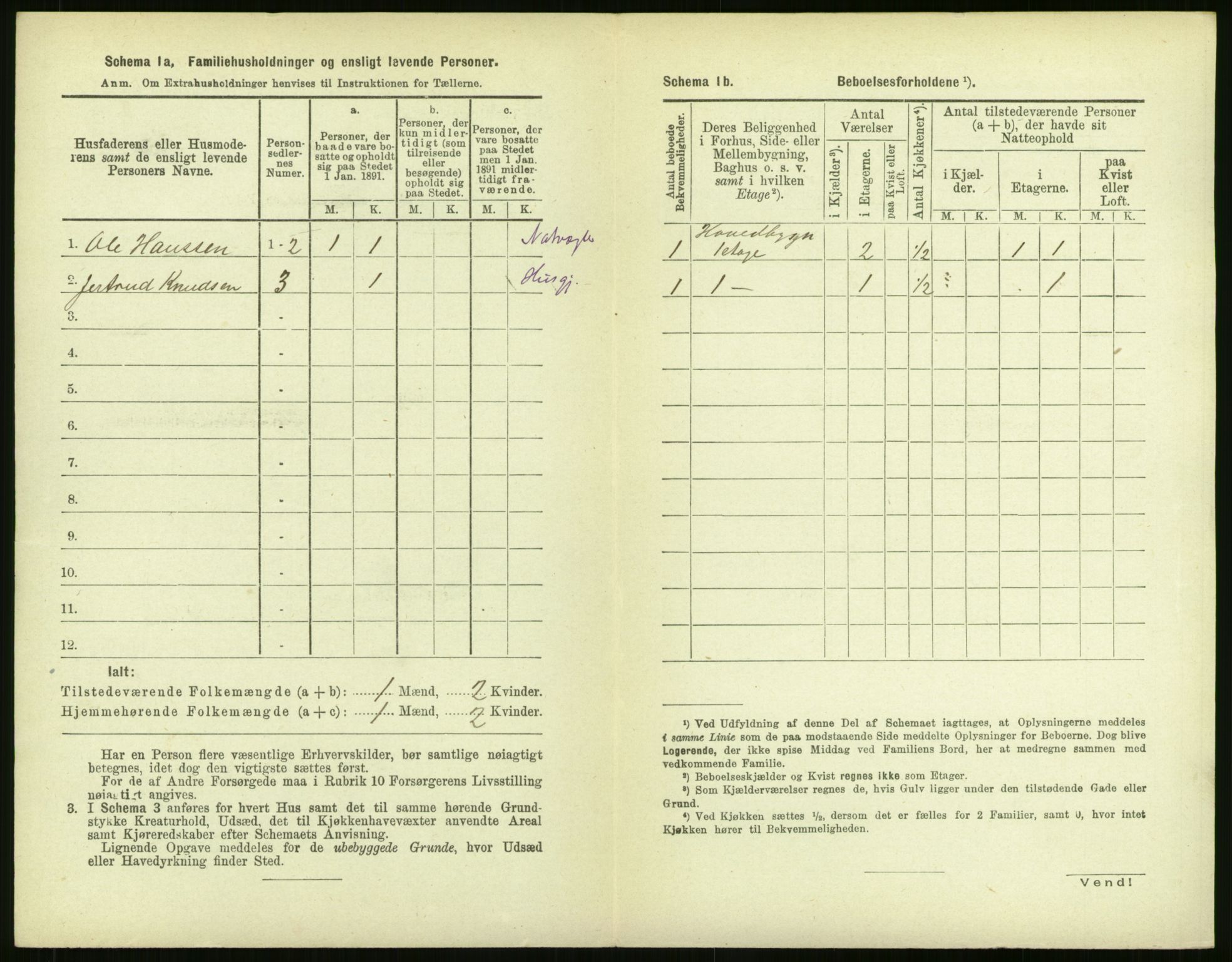 RA, 1891 census for 1104 Skudeneshavn, 1891, p. 291