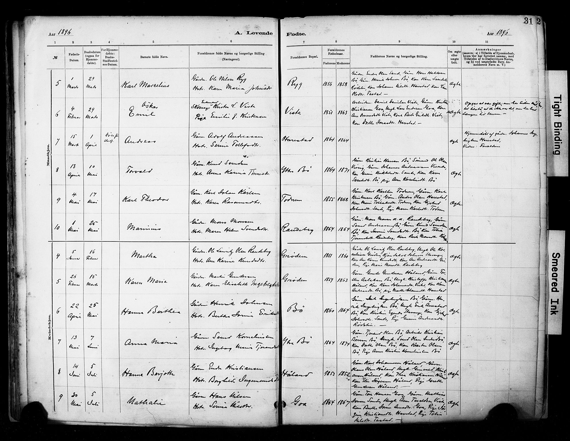 Hetland sokneprestkontor, SAST/A-101826/30/30BA/L0009: Parish register (official) no. A 9, 1882-1918, p. 31