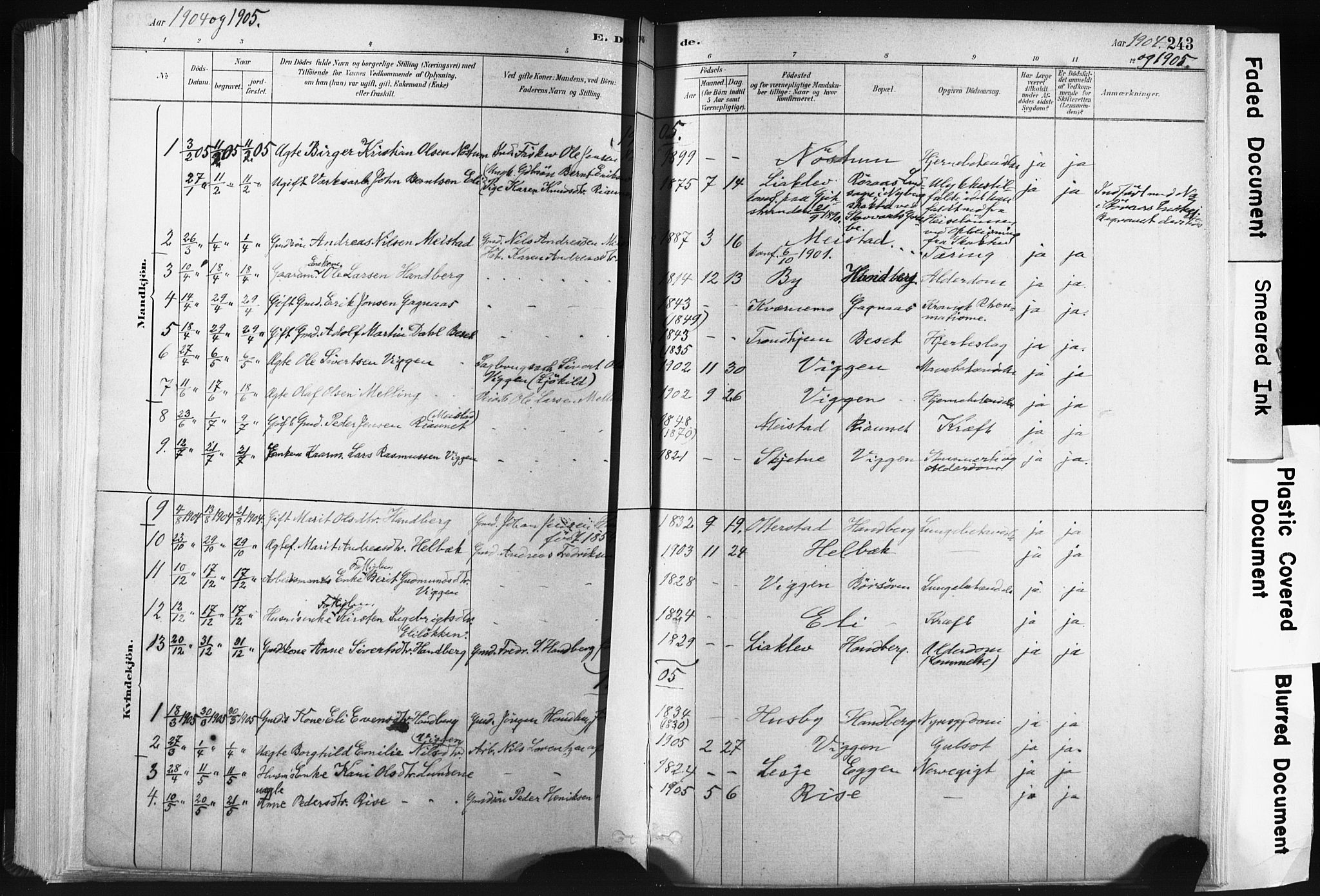 Ministerialprotokoller, klokkerbøker og fødselsregistre - Sør-Trøndelag, SAT/A-1456/665/L0773: Parish register (official) no. 665A08, 1879-1905, p. 243