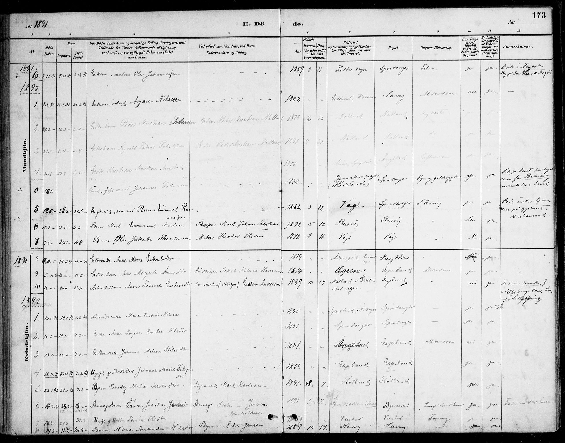 Herad sokneprestkontor, SAK/1111-0018/F/Fa/Fab/L0005: Parish register (official) no. A 5, 1886-1913, p. 173