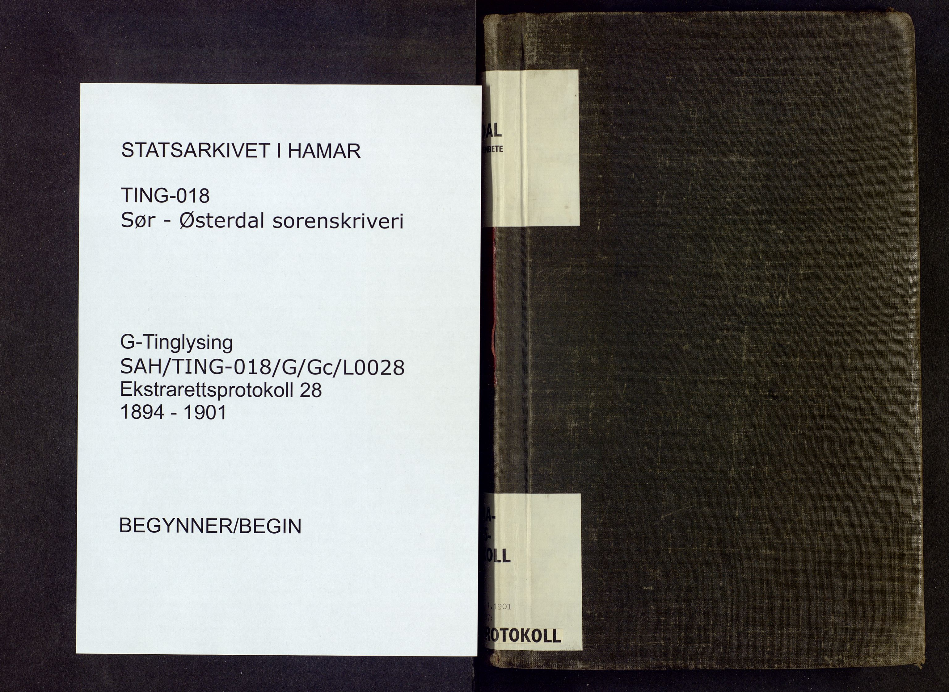 Sør-Østerdal sorenskriveri, SAH/TING-018/G/Gc/L0028: Ekstrarettsprotokoll, 1894-1901