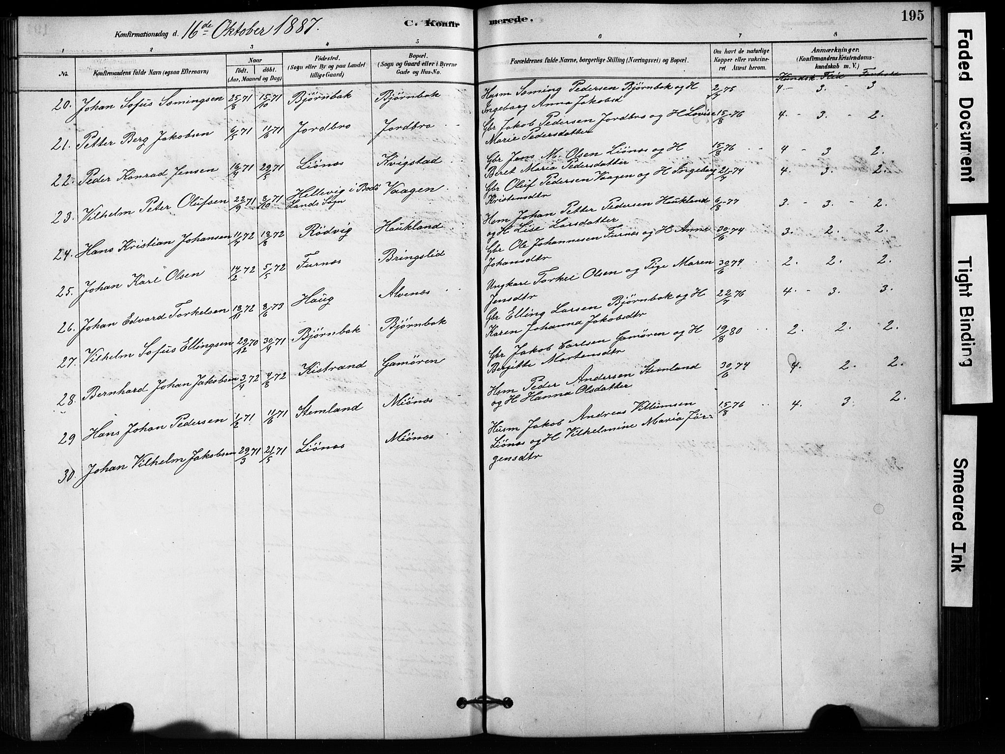Ministerialprotokoller, klokkerbøker og fødselsregistre - Nordland, SAT/A-1459/852/L0754: Parish register (copy) no. 852C05, 1878-1894, p. 195