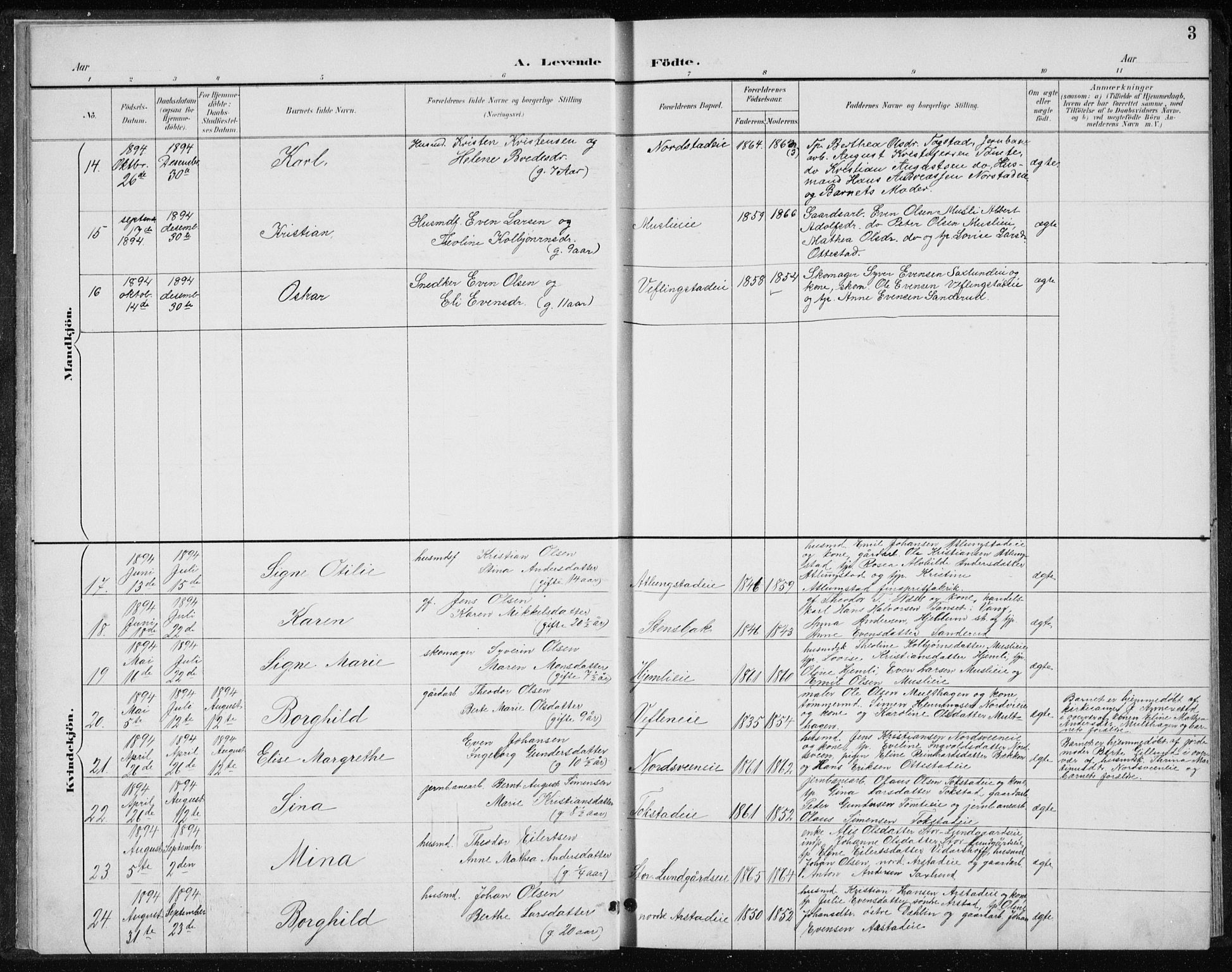 Stange prestekontor, AV/SAH-PREST-002/L/L0010: Parish register (copy) no. 10, 1894-1905, p. 3