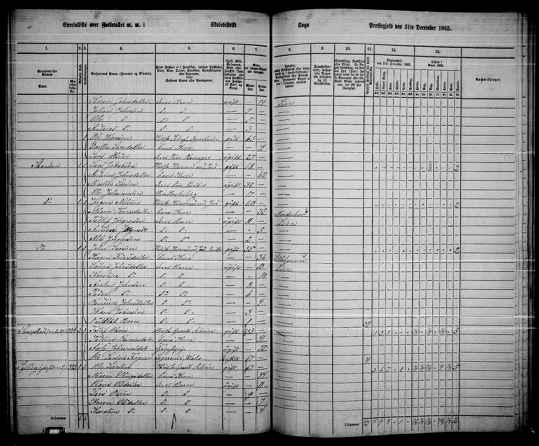 RA, 1865 census for Lier, 1865, p. 216