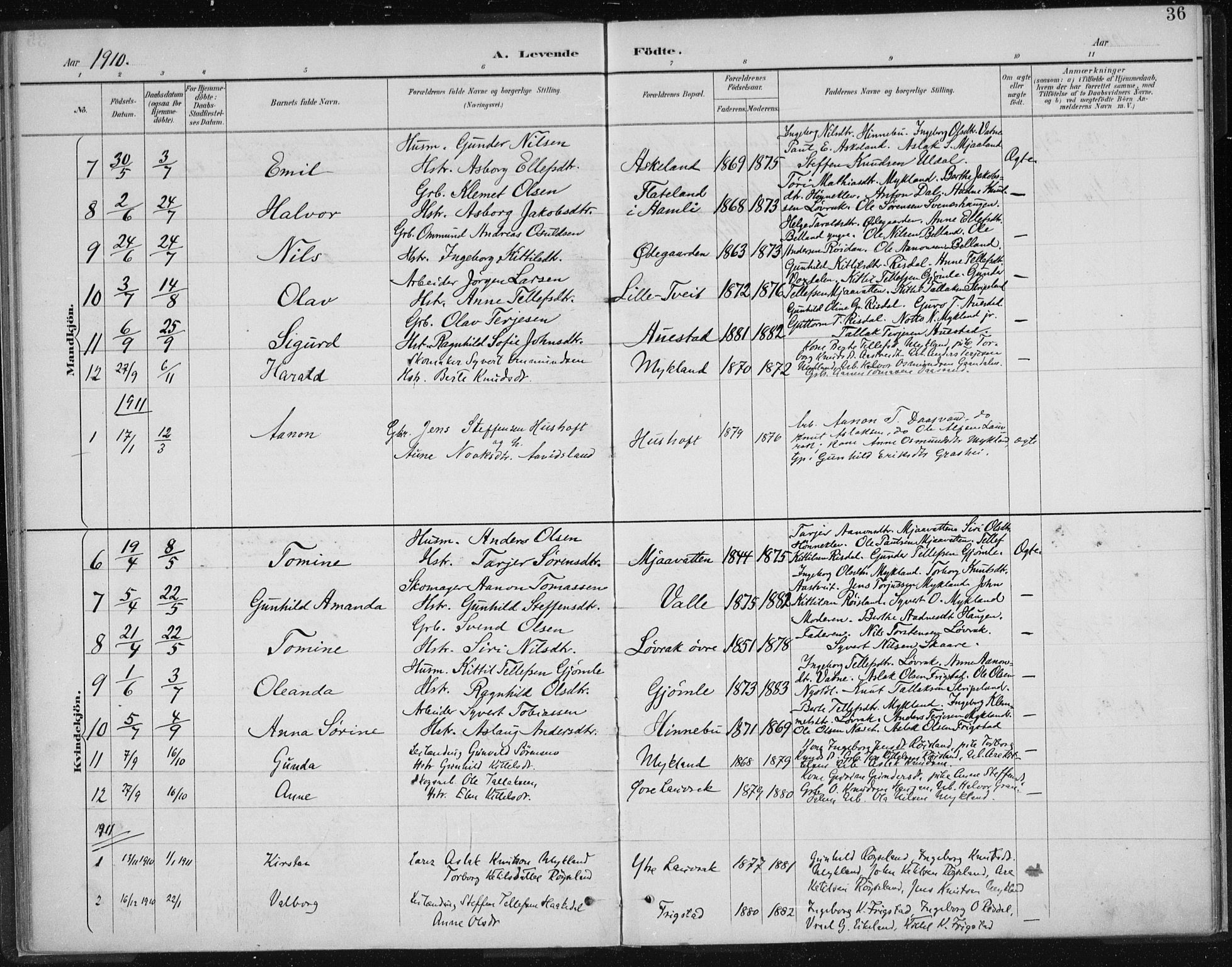 Herefoss sokneprestkontor, SAK/1111-0019/F/Fa/Fac/L0002: Parish register (official) no. A 2, 1887-1915, p. 36