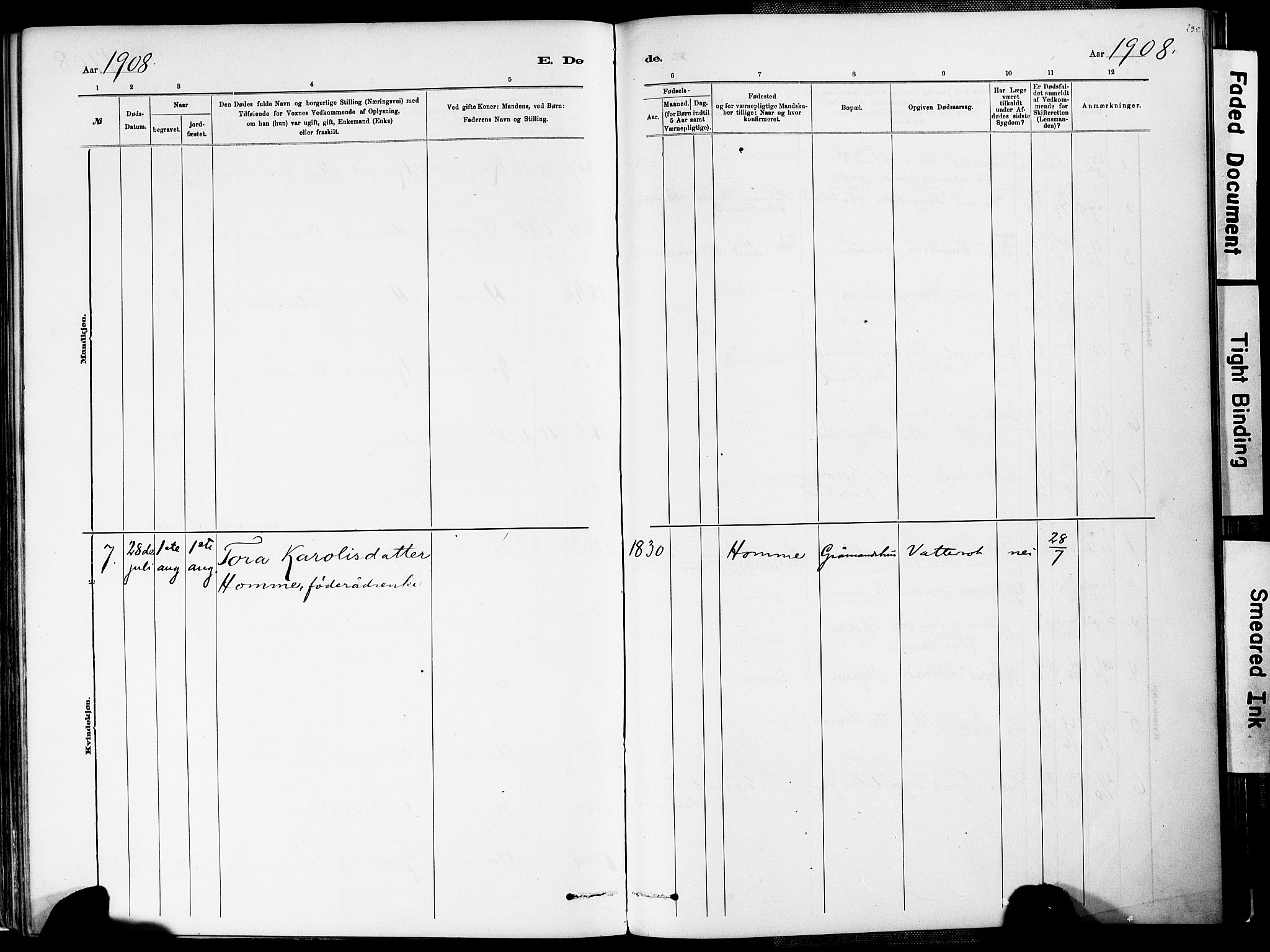 Valle sokneprestkontor, AV/SAK-1111-0044/F/Fa/Fac/L0009: Parish register (official) no. A 9, 1882-1913, p. 235