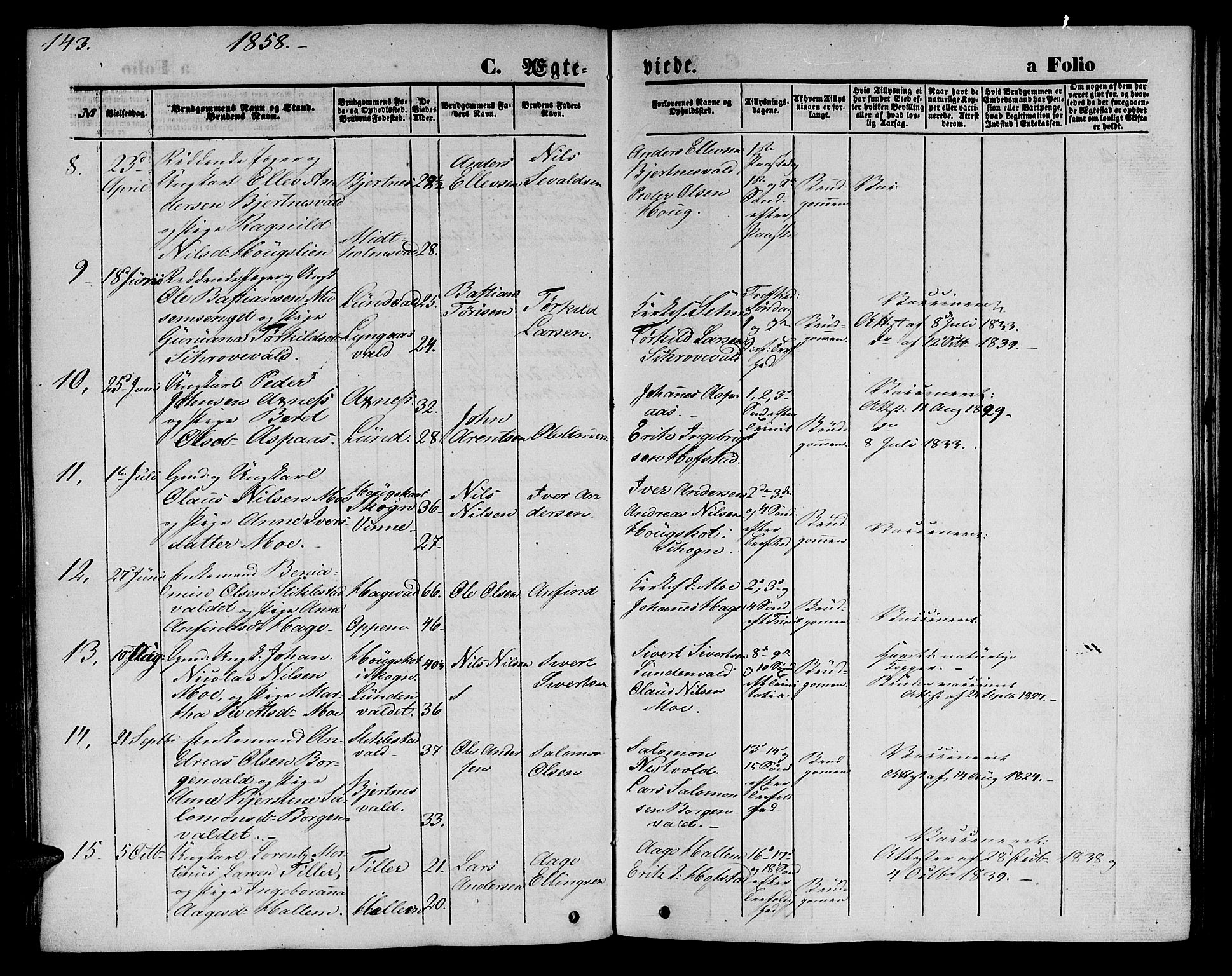 Ministerialprotokoller, klokkerbøker og fødselsregistre - Nord-Trøndelag, AV/SAT-A-1458/723/L0254: Parish register (copy) no. 723C02, 1858-1868, p. 143