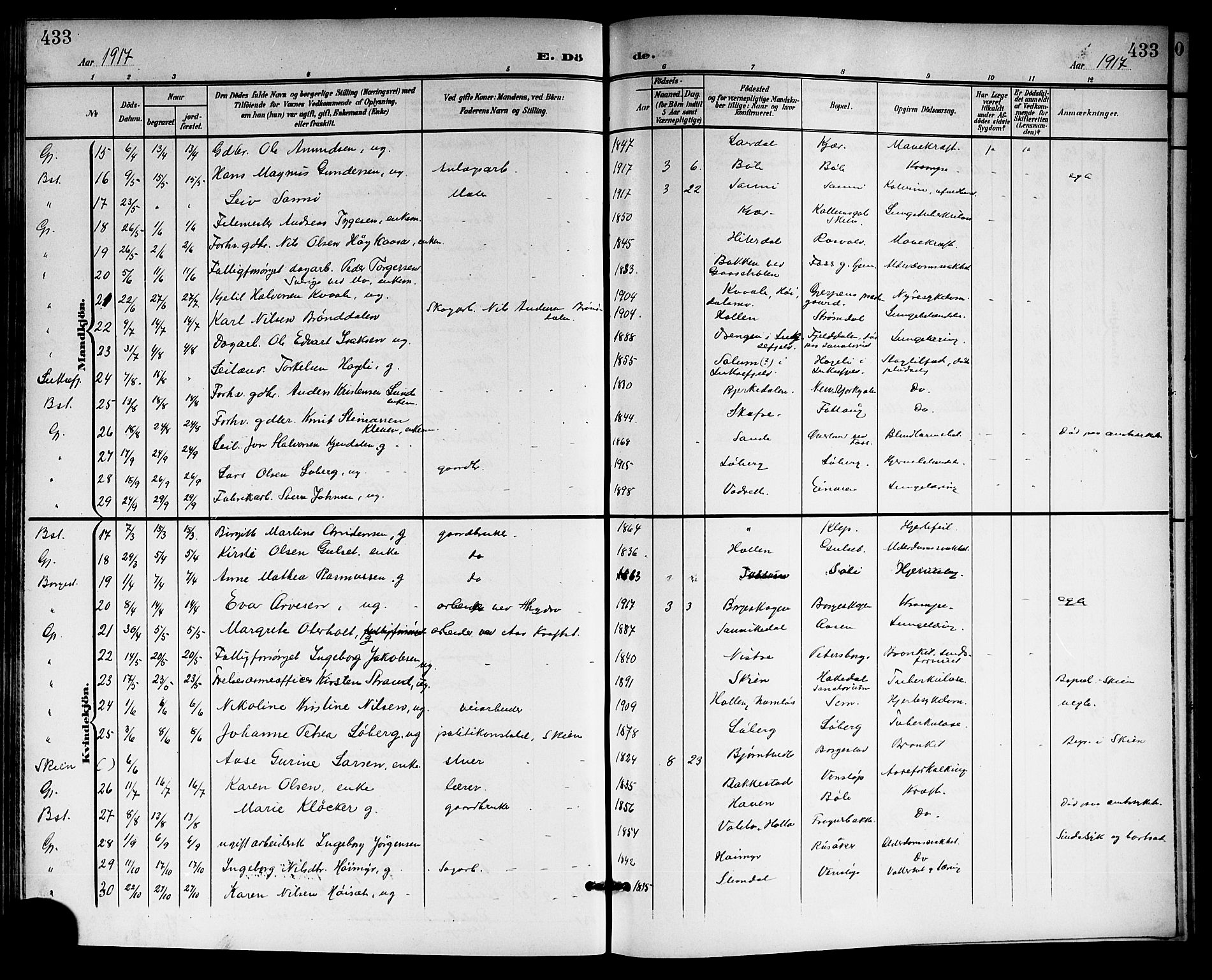 Gjerpen kirkebøker, SAKO/A-265/G/Ga/L0003: Parish register (copy) no. I 3, 1901-1919, p. 433