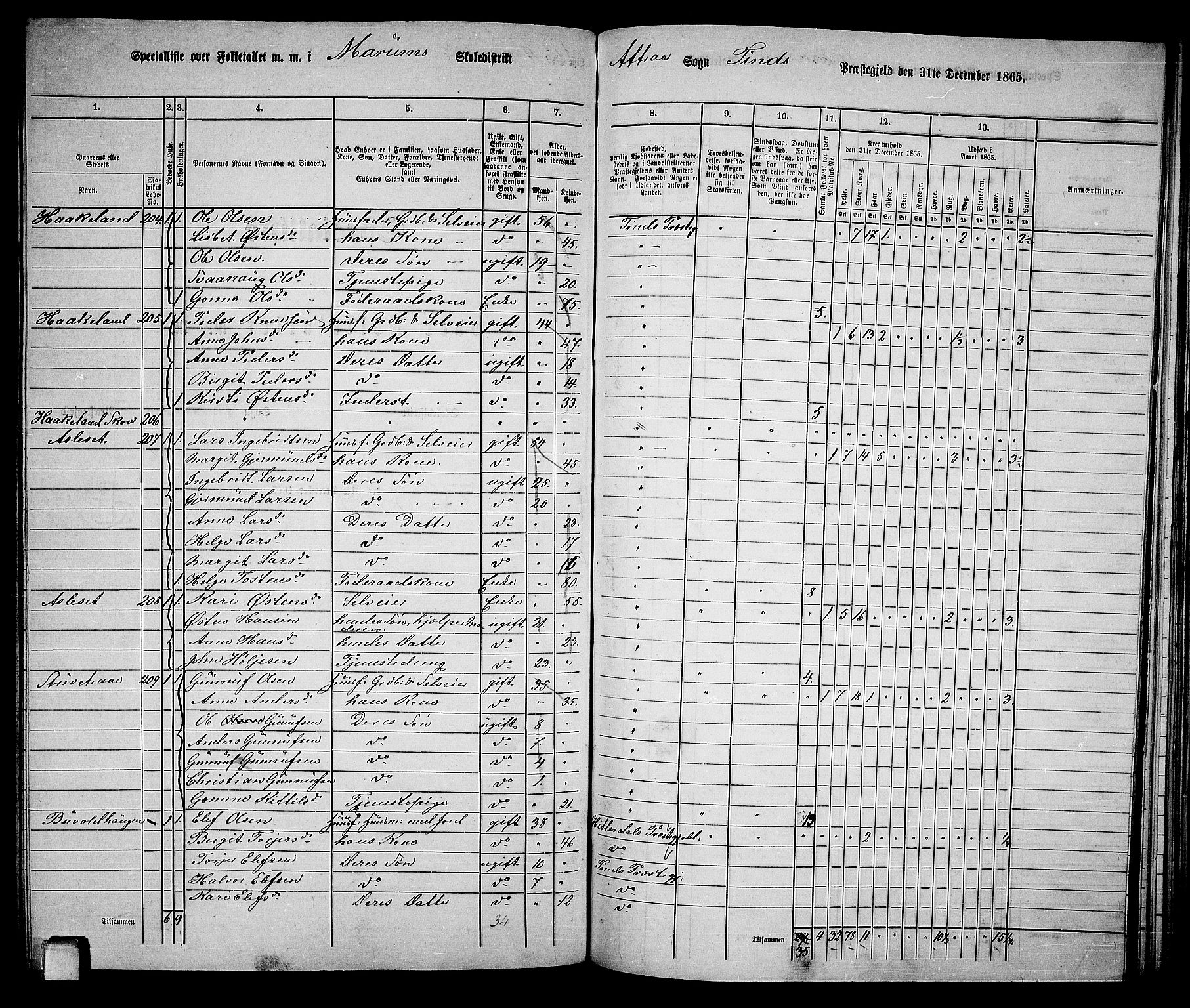 RA, 1865 census for Tinn, 1865, p. 62