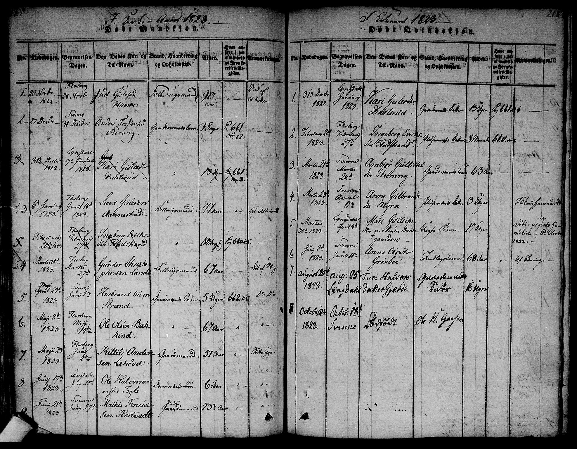 Flesberg kirkebøker, SAKO/A-18/F/Fa/L0005: Parish register (official) no. I 5, 1816-1834, p. 217-218