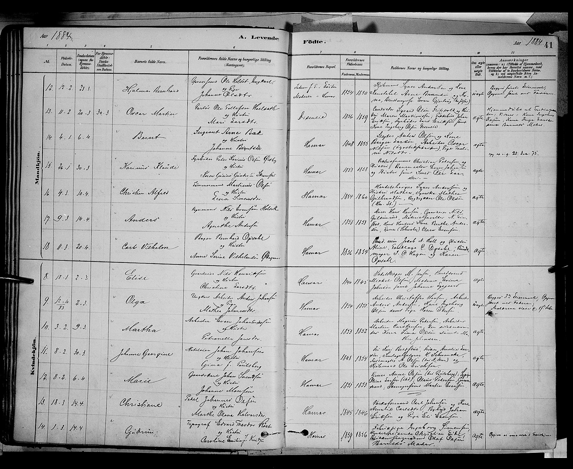Vang prestekontor, Hedmark, SAH/PREST-008/H/Ha/Haa/L0016: Parish register (official) no. 16, 1878-1889, p. 41