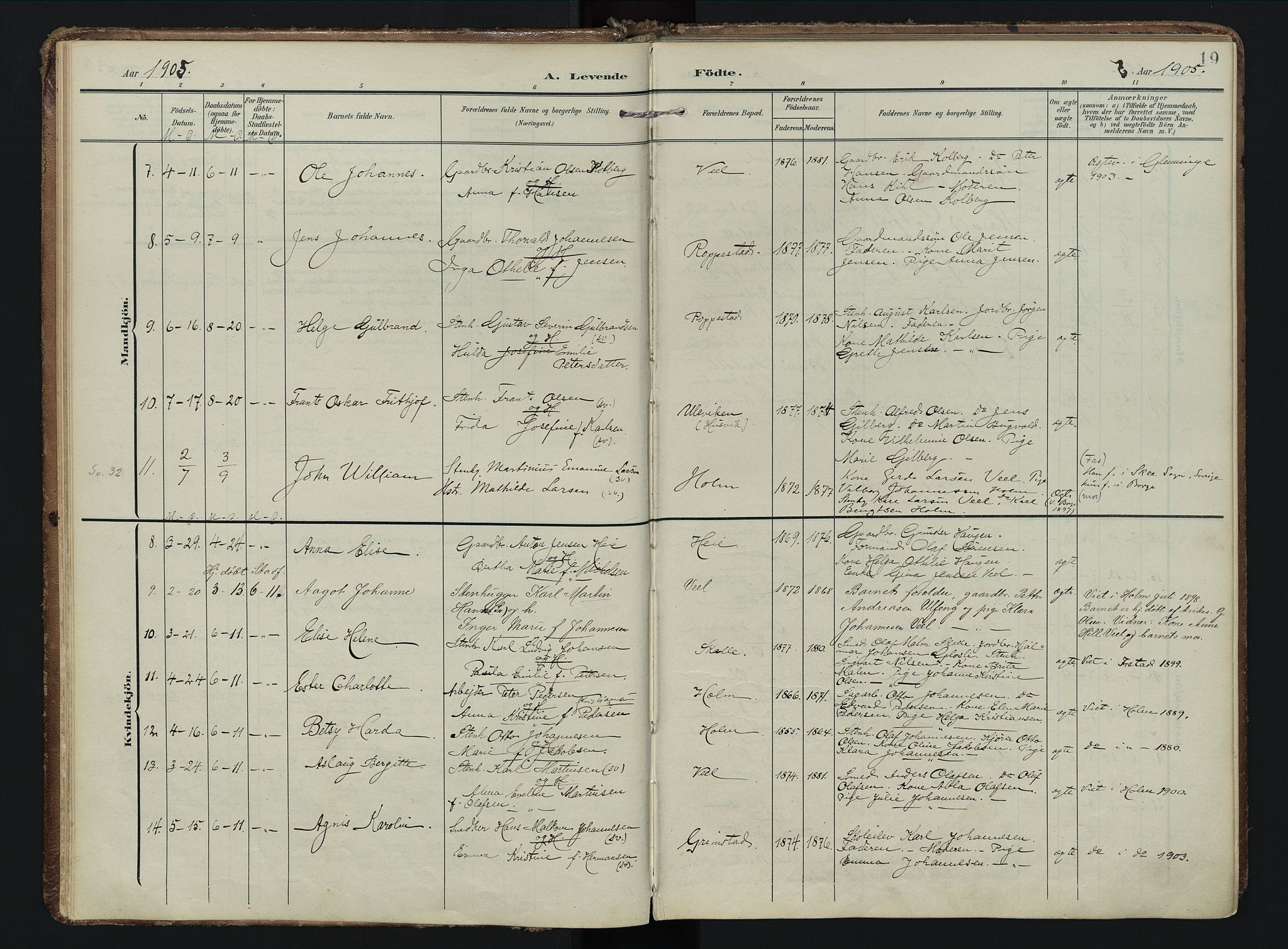 Borge prestekontor Kirkebøker, AV/SAO-A-10903/F/Fb/L0004: Parish register (official) no. II 4, 1902-1914, p. 19