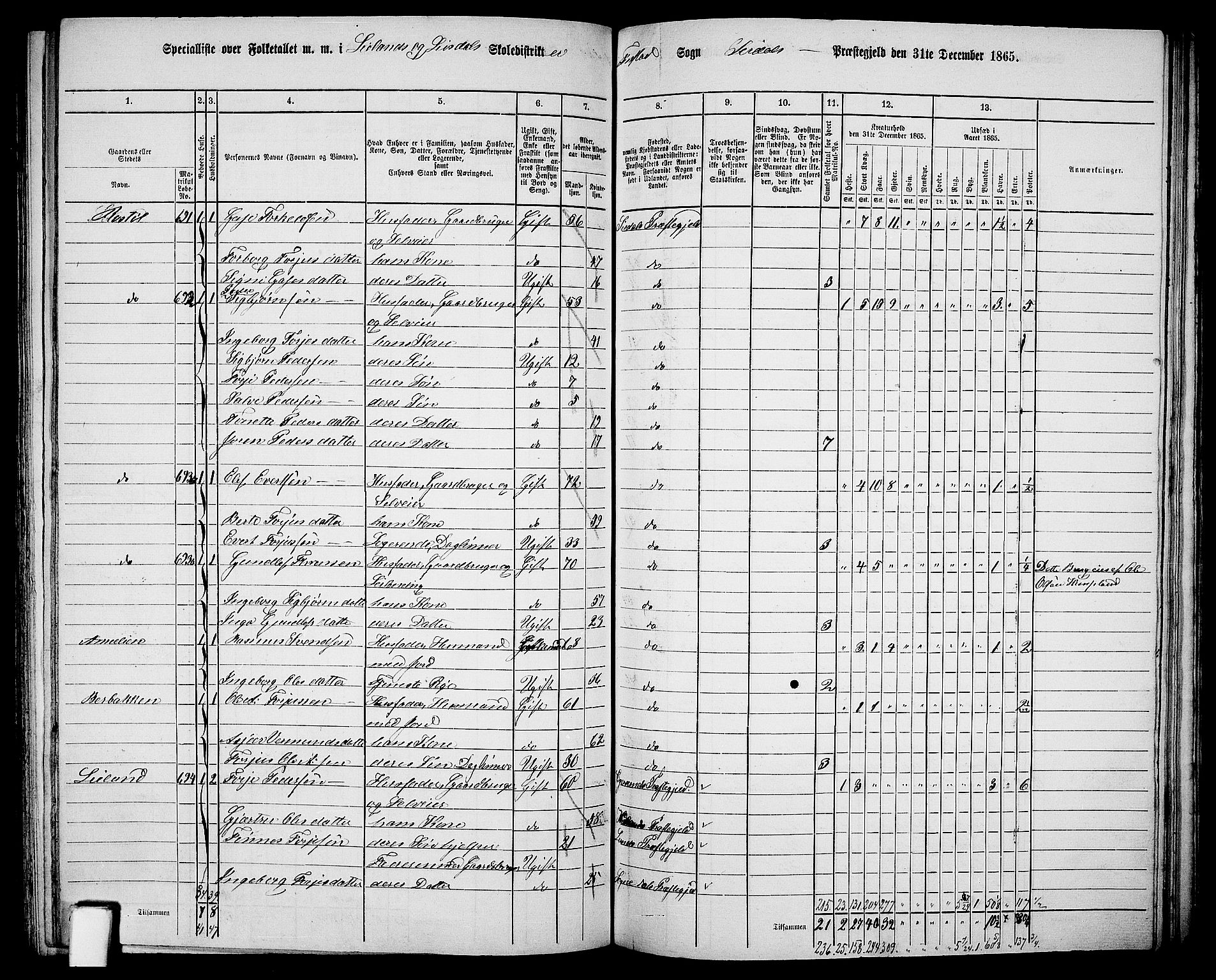 RA, 1865 census for Sirdal, 1865, p. 43